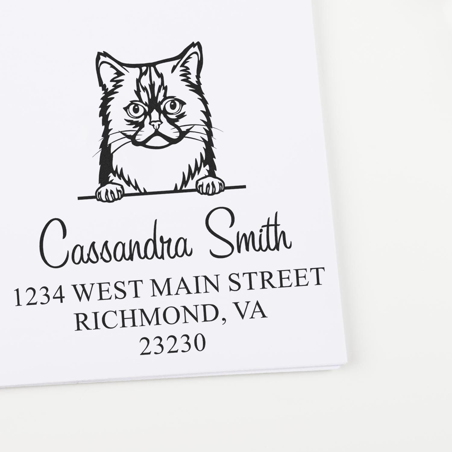 Custom black cat address stamp and seal with Cassandra Smith and Richmond, VA address on white paper