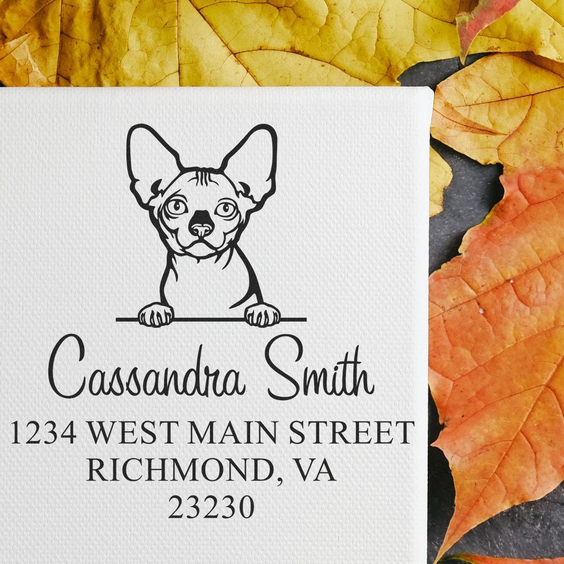 Bambino Cat Custom Made Small Return Address Stamp - Engineer Seal Stamps