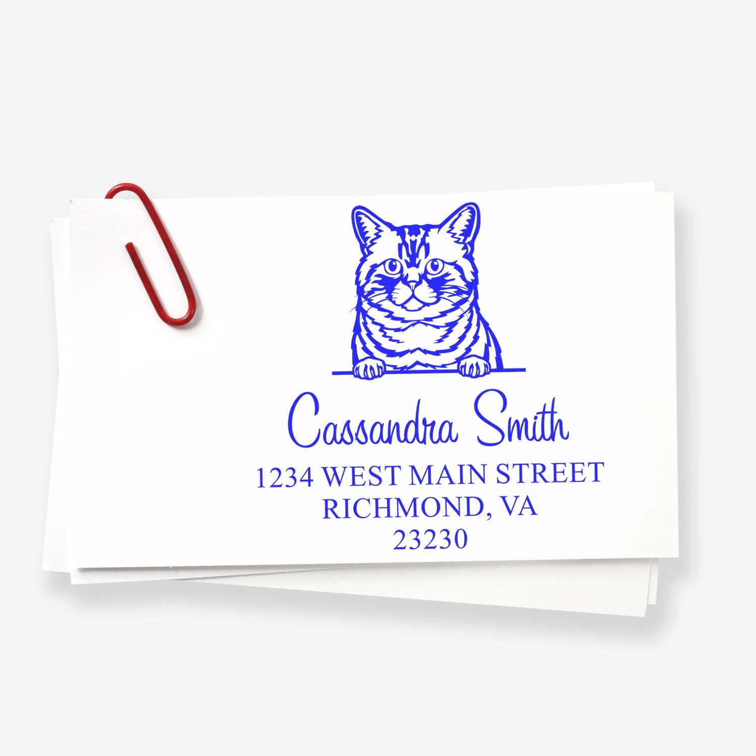 Custom blue address stamp with cat logo, Cassandra Smith and Richmond, VA, on stacked white cards with a red paperclip.