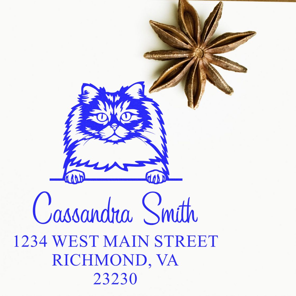 Blue custom stamp for Cassandra Smith with fluffy cat, Richmond VA address, and star anise wax seal.