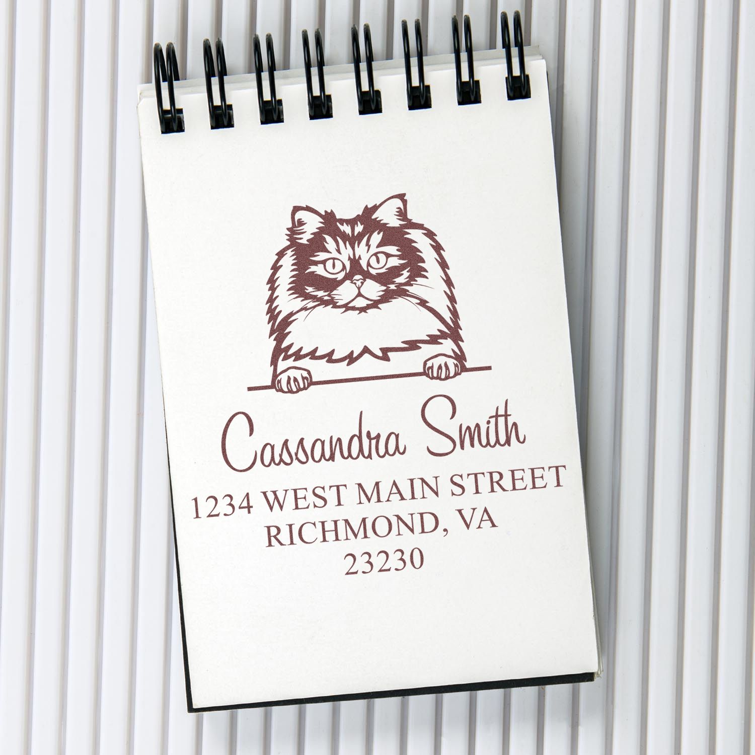 Personalized brown custom stamp and seal with cat graphic, Cassandra Smith name, and Richmond, VA address on white paper.