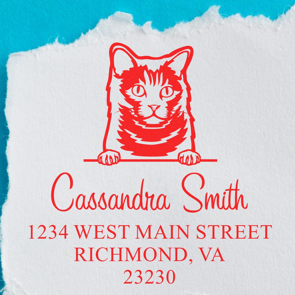 Red custom return-address stamp with cat seal on white paper, turquoise background, for Cassandra Smith in Richmond, VA.