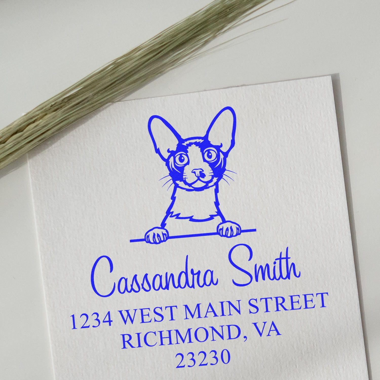 Pre-Inked Cornish Rex Cat Personalized Address Stamp - Engineer Seal Stamps