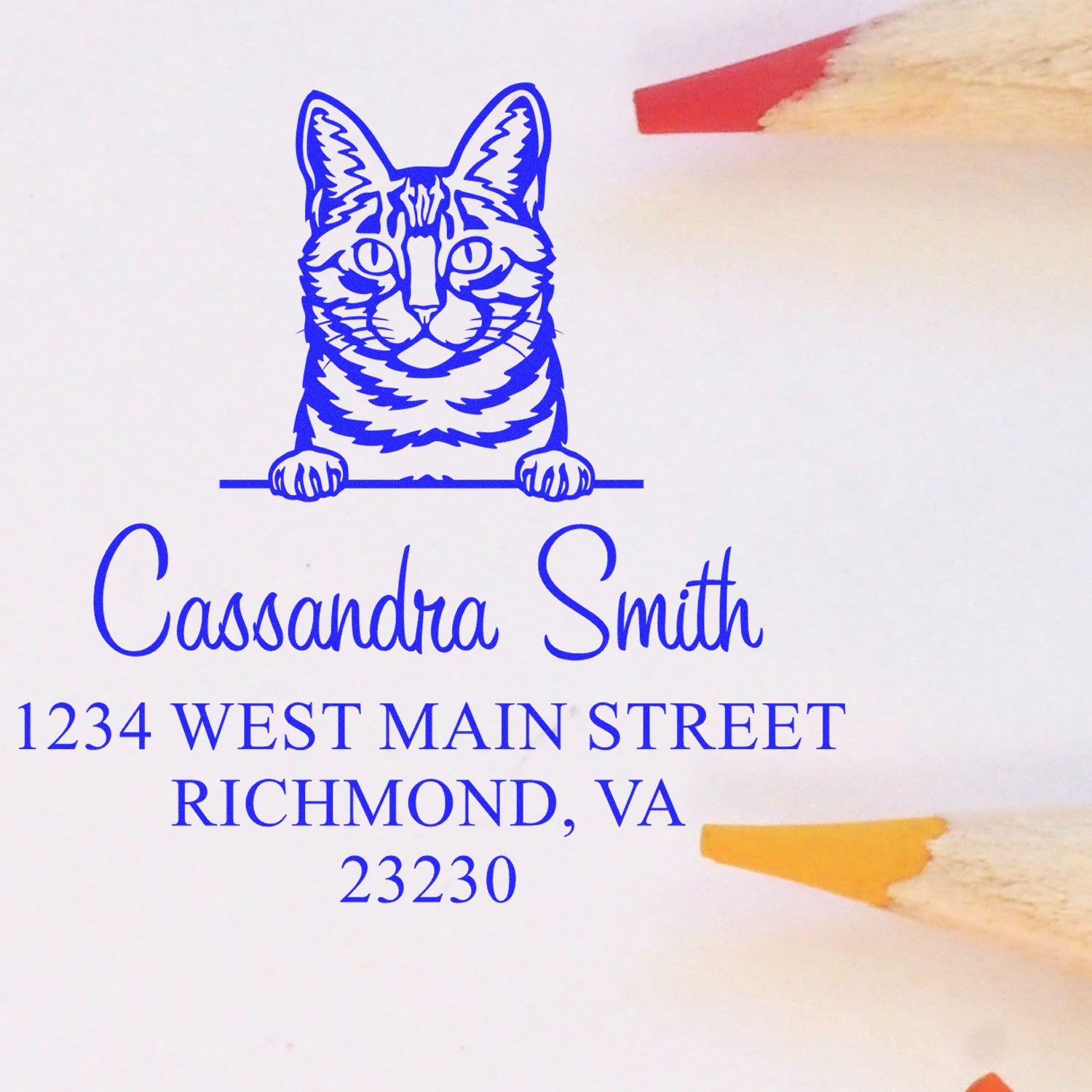 Pre-Inked Dragon Li Cat Personalized Small Return Address Stamp - Engineer Seal Stamps