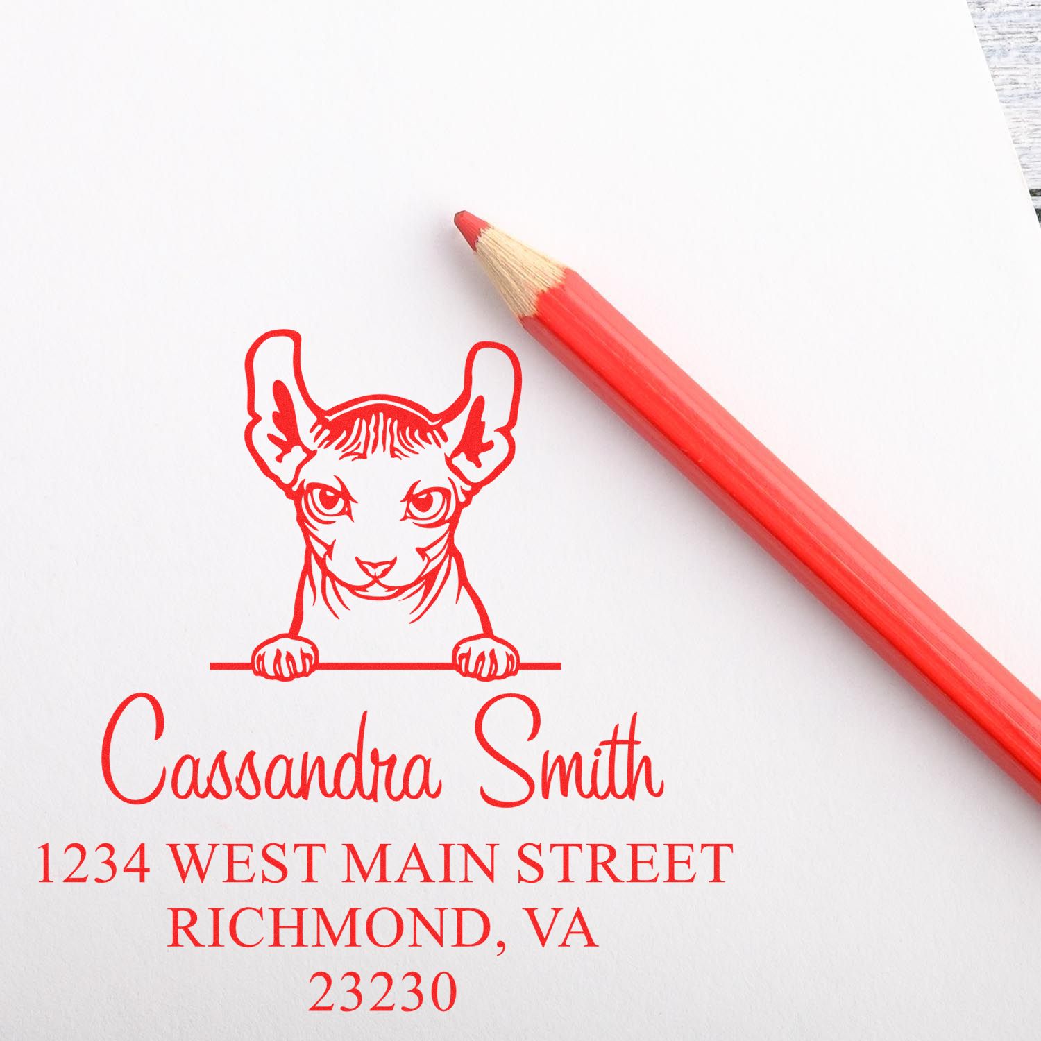 Wood Handle Dwelf Cat Custom Return Stamp - Engineer Seal Stamps