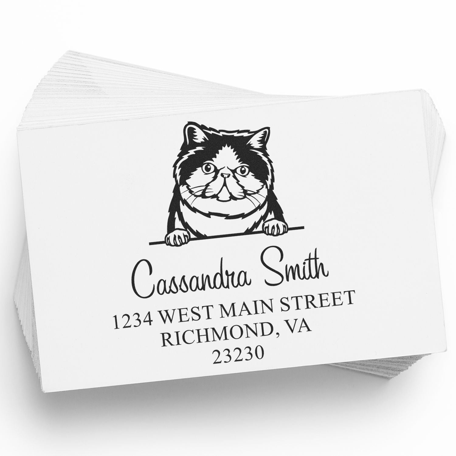 Custom stamp and seal cards with black cat illustration, Cassandra Smith name, and black address on white background.