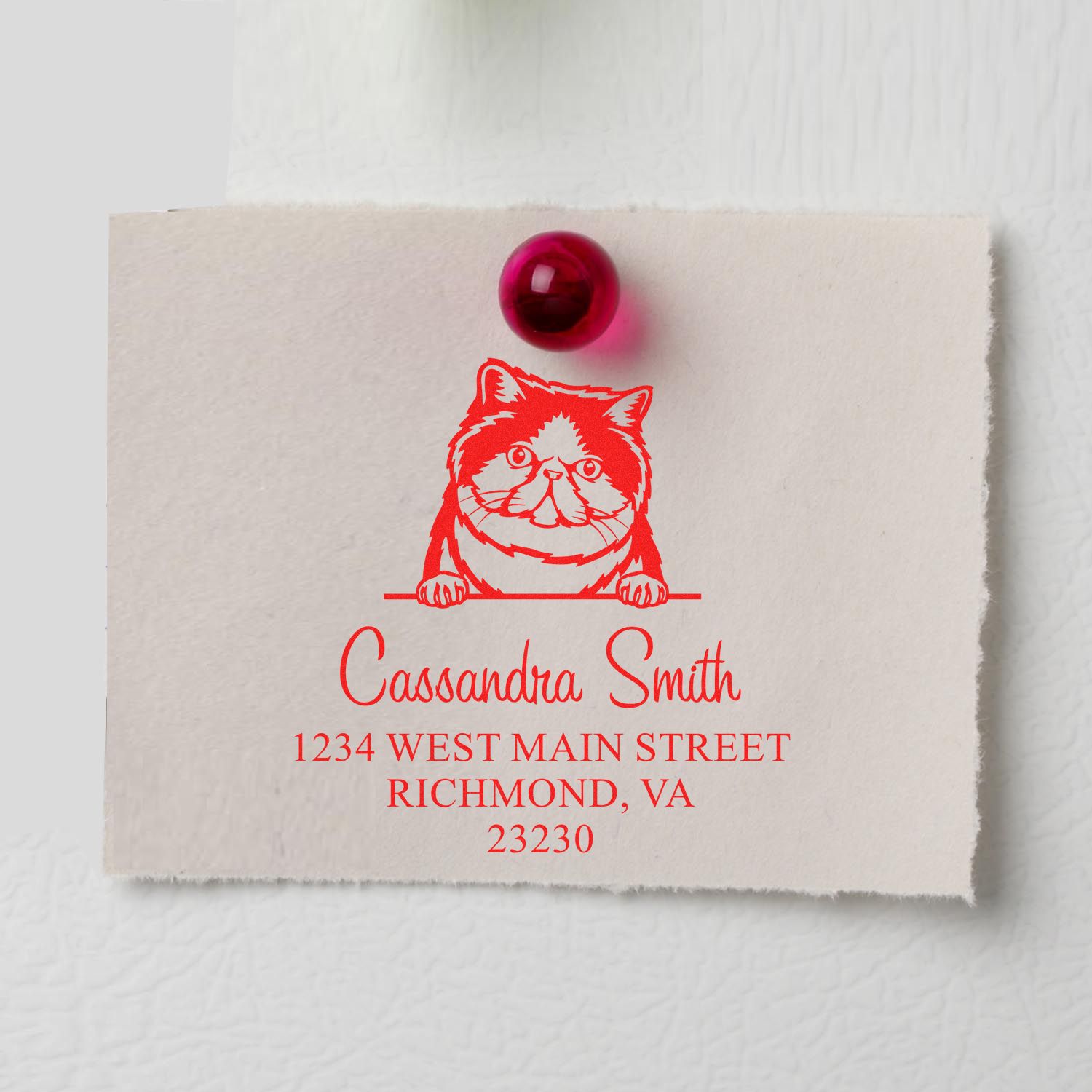 Custom red cat stamp and seal on cream cardstock, pinned with a burgundy tack, showing Cassandra Smith's address.