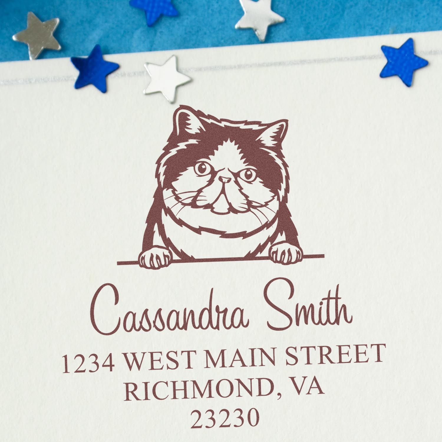 Maroon custom cat stamp and address seal on white paper, with blue and silver star confetti accents.