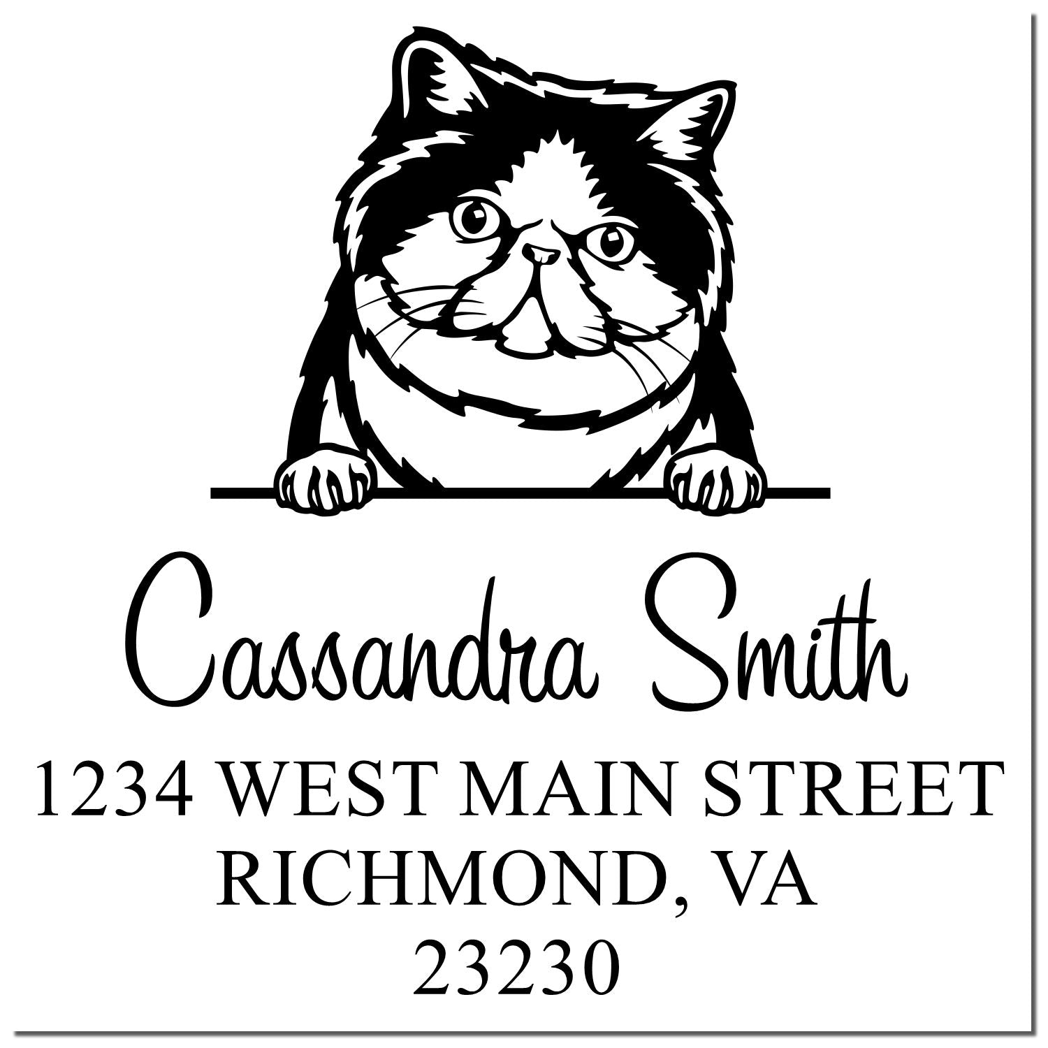 Black-and-white custom address stamp with cat seal, Cassandra Smith, and Richmond, VA 23230.