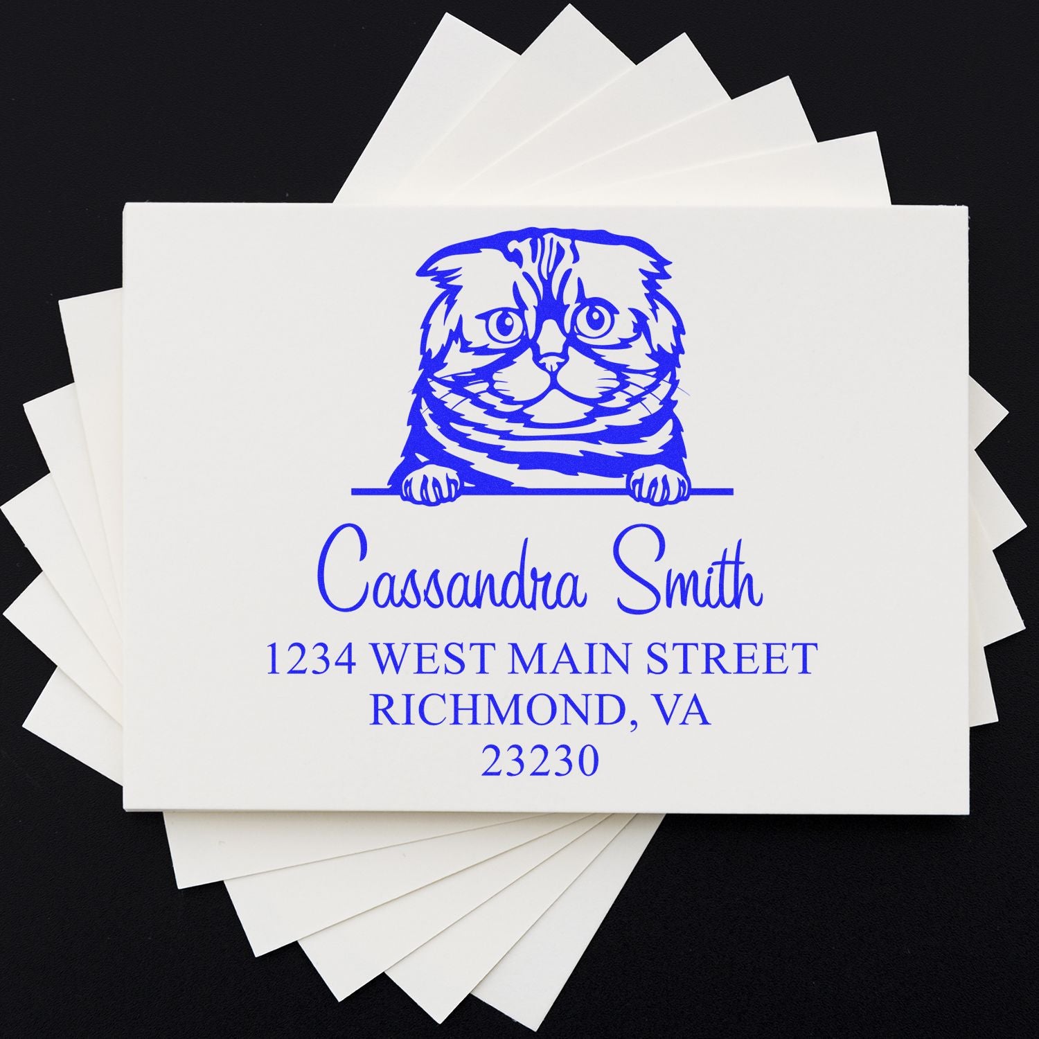 Wood Handle Foldex Cat Envelope Address Stamp - Engineer Seal Stamps