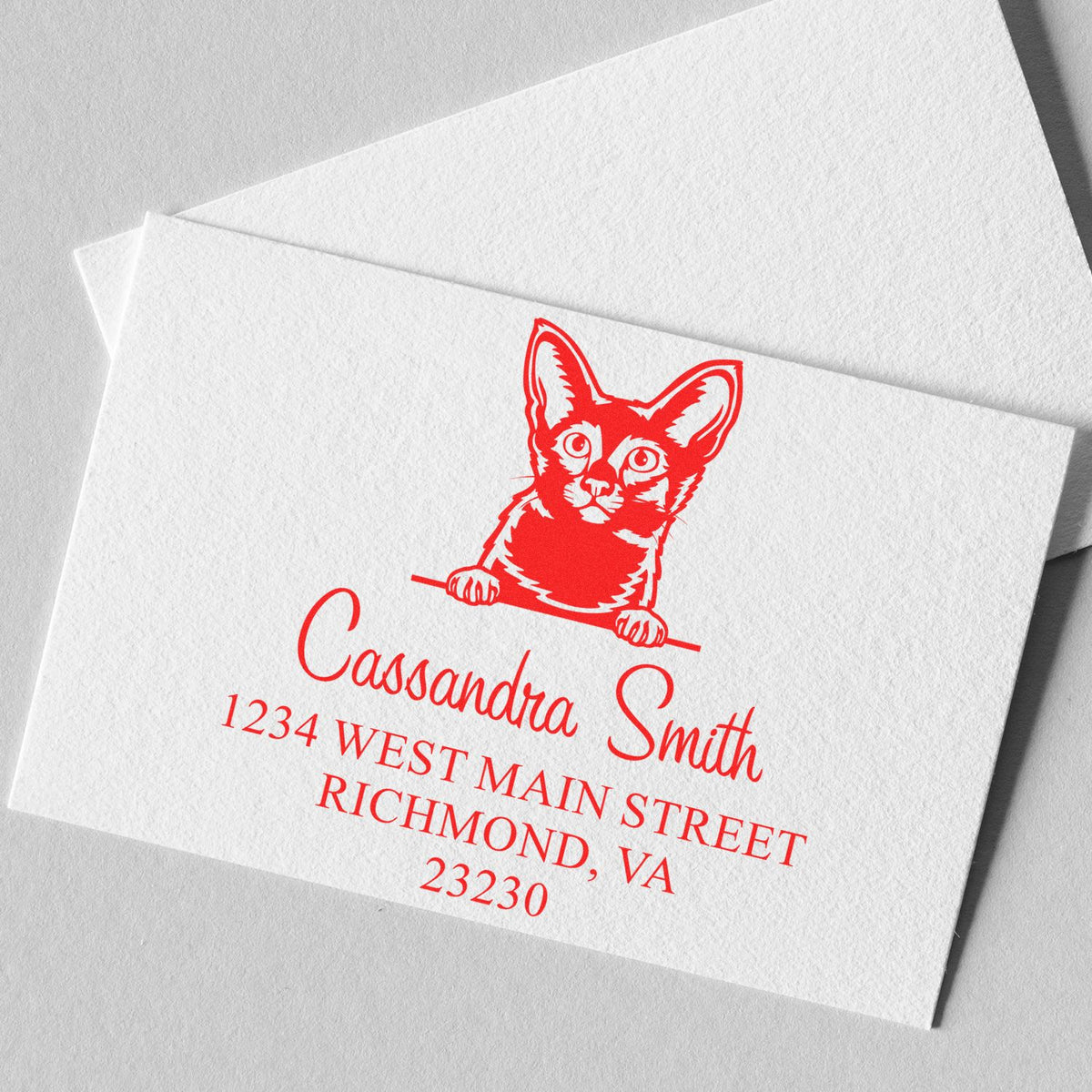 Red custom stamp and seal with cat logo, Cassandra Smith name, and Richmond, VA address on white textured paper.