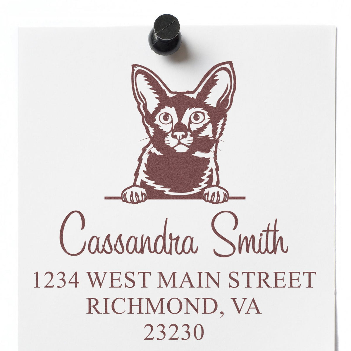 Custom brown cat address stamp with black stamp seal, featuring Cassandra Smith, 1234 West Main Street, Richmond, VA 23230