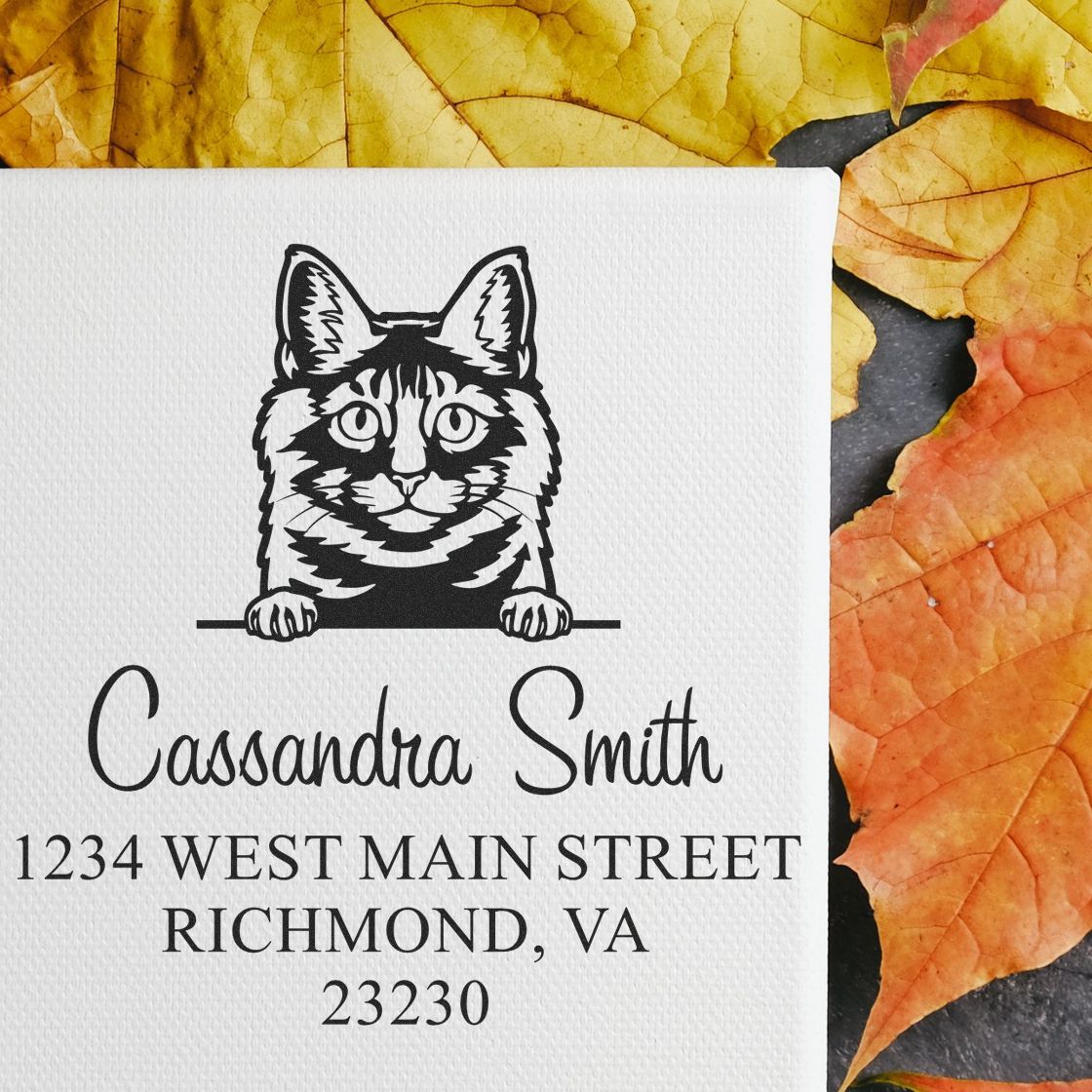 Custom black cat return address stamp and seal with Cassandra Smith and Richmond, VA on white textured paper, framed by autumn leaves.