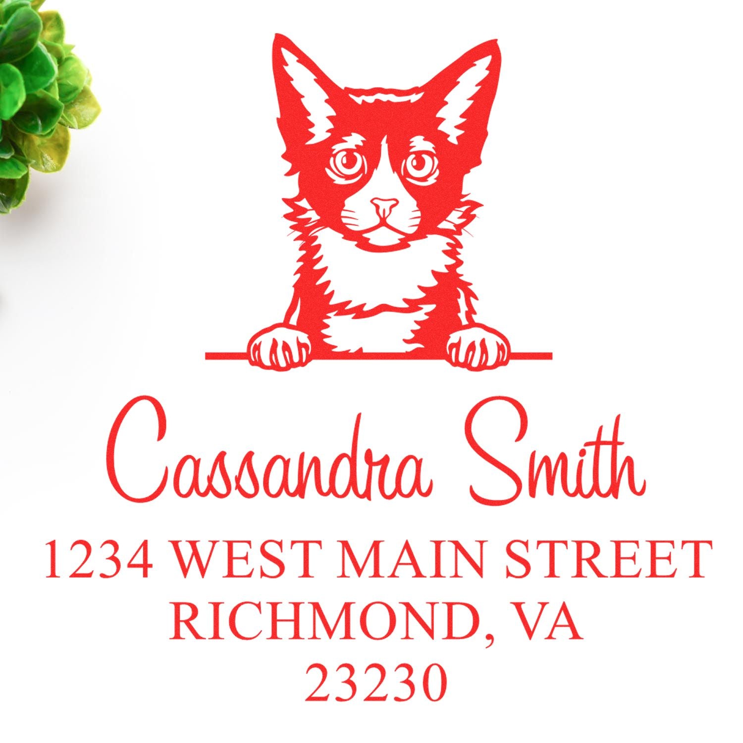 Self-Inking Laperm Cat Customized Name and Address Stamp - Engineer Seal Stamps