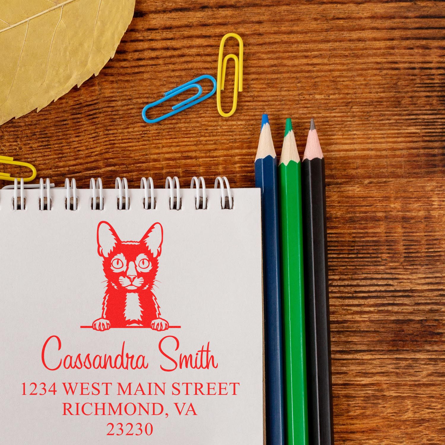 Lykoi Cat Custom Return Address Stamp - Engineer Seal Stamps