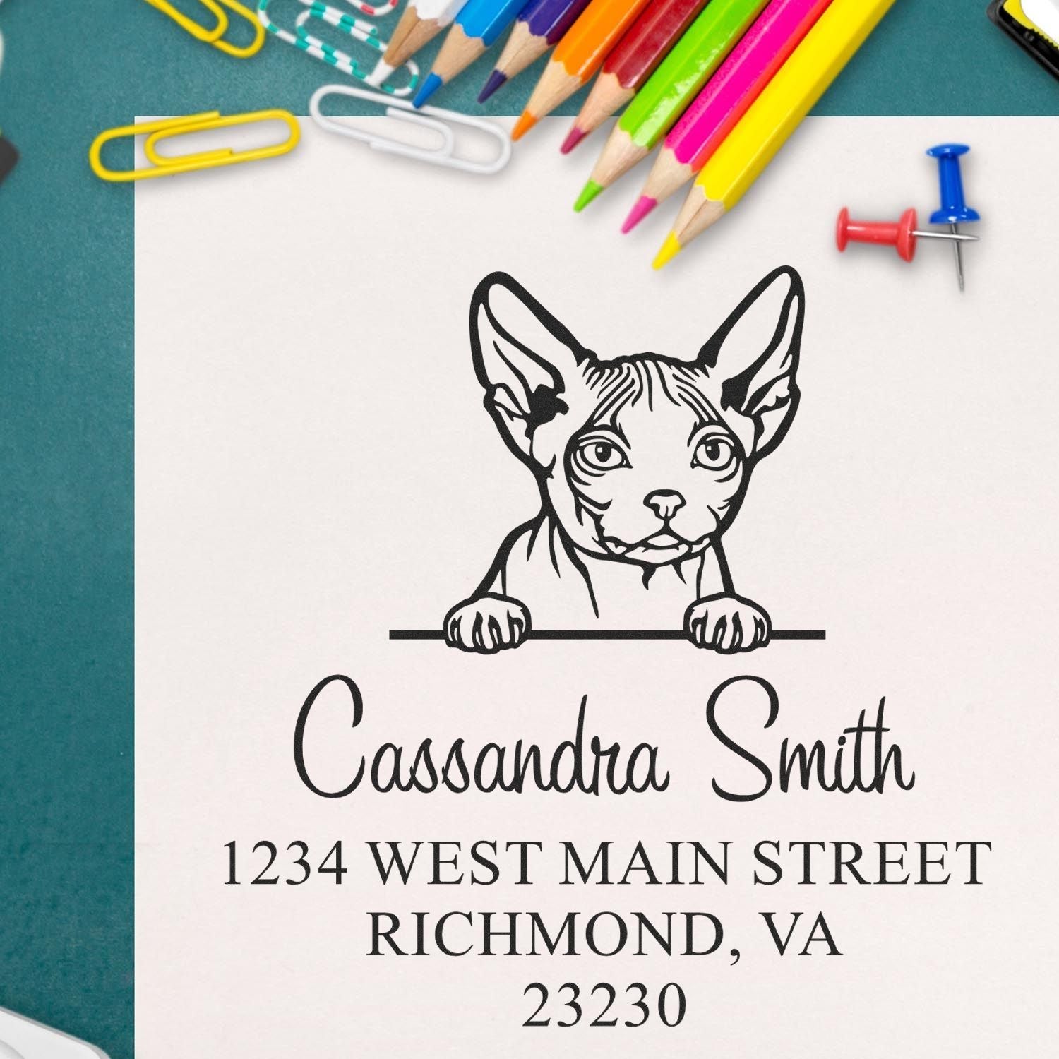 Minskin Cat Personalized Address Stamp - Engineer Seal Stamps