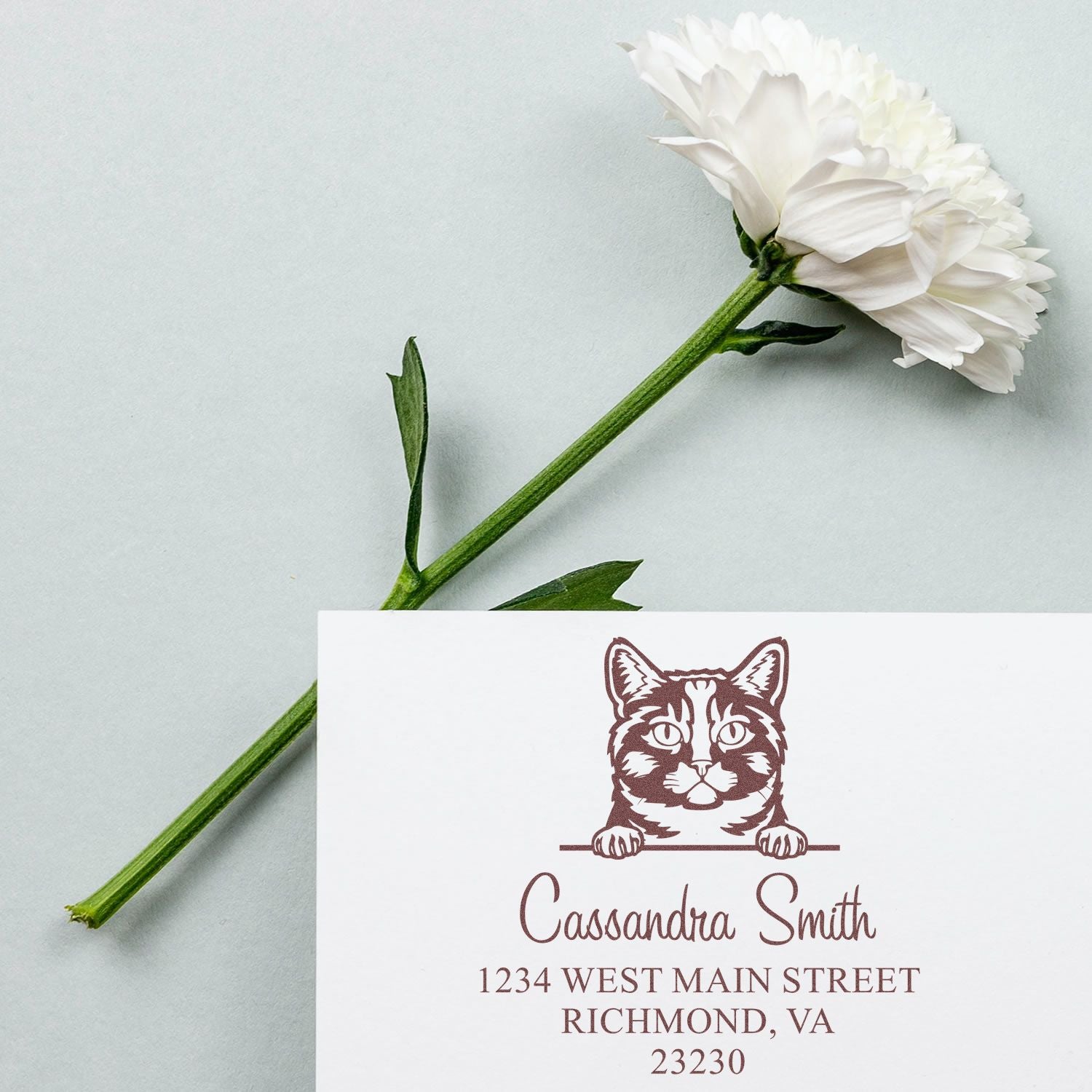 Pre-Inked Munchkin Cat Custom Made Address Label Stamp - Engineer Seal Stamps