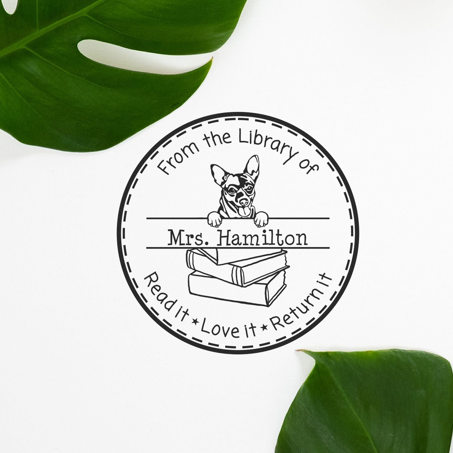 Cihuahua Dog Customized From The Desk Of Teacher Stamp - Engineer Seal Stamps