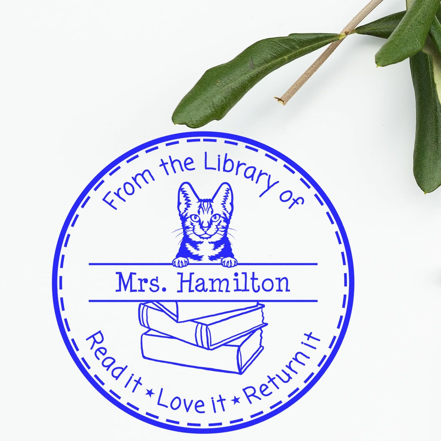 Personalized With Name Stamp with American Shorthair Cat - Engineer Seal Stamps