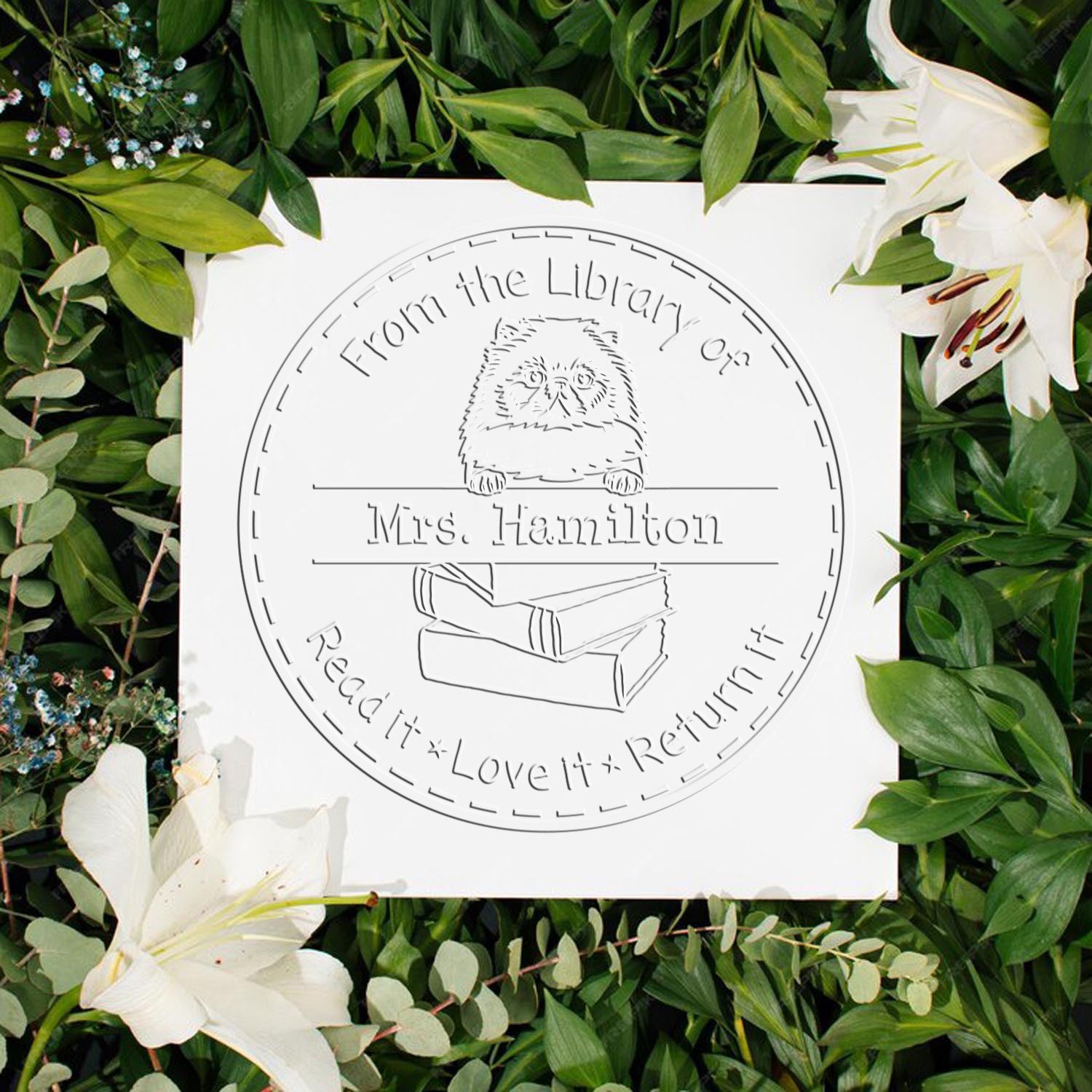 Himalayan Cat Custom Classroom Book Return Reminder Embossed Stamp