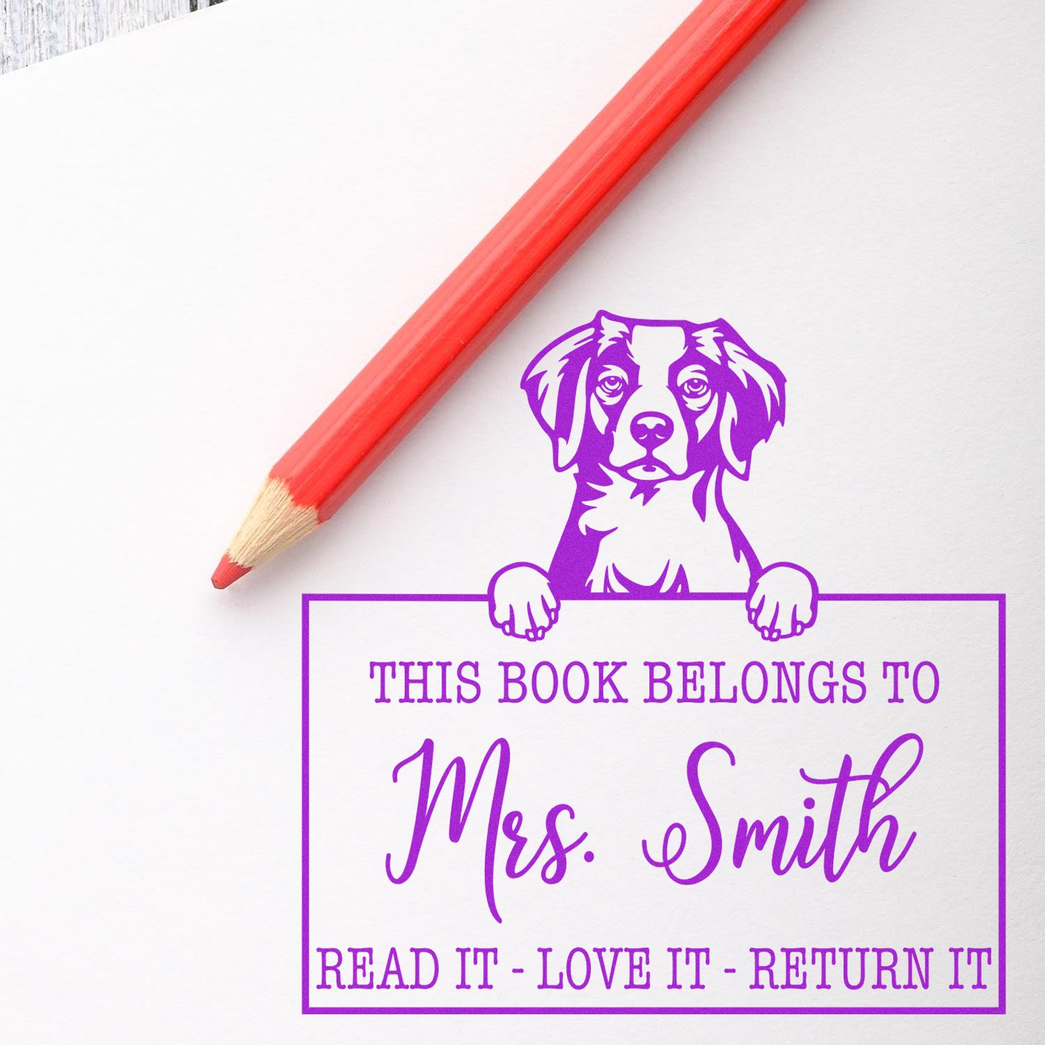 Brittany Custom Made Pet This Book Belongs To Stamp