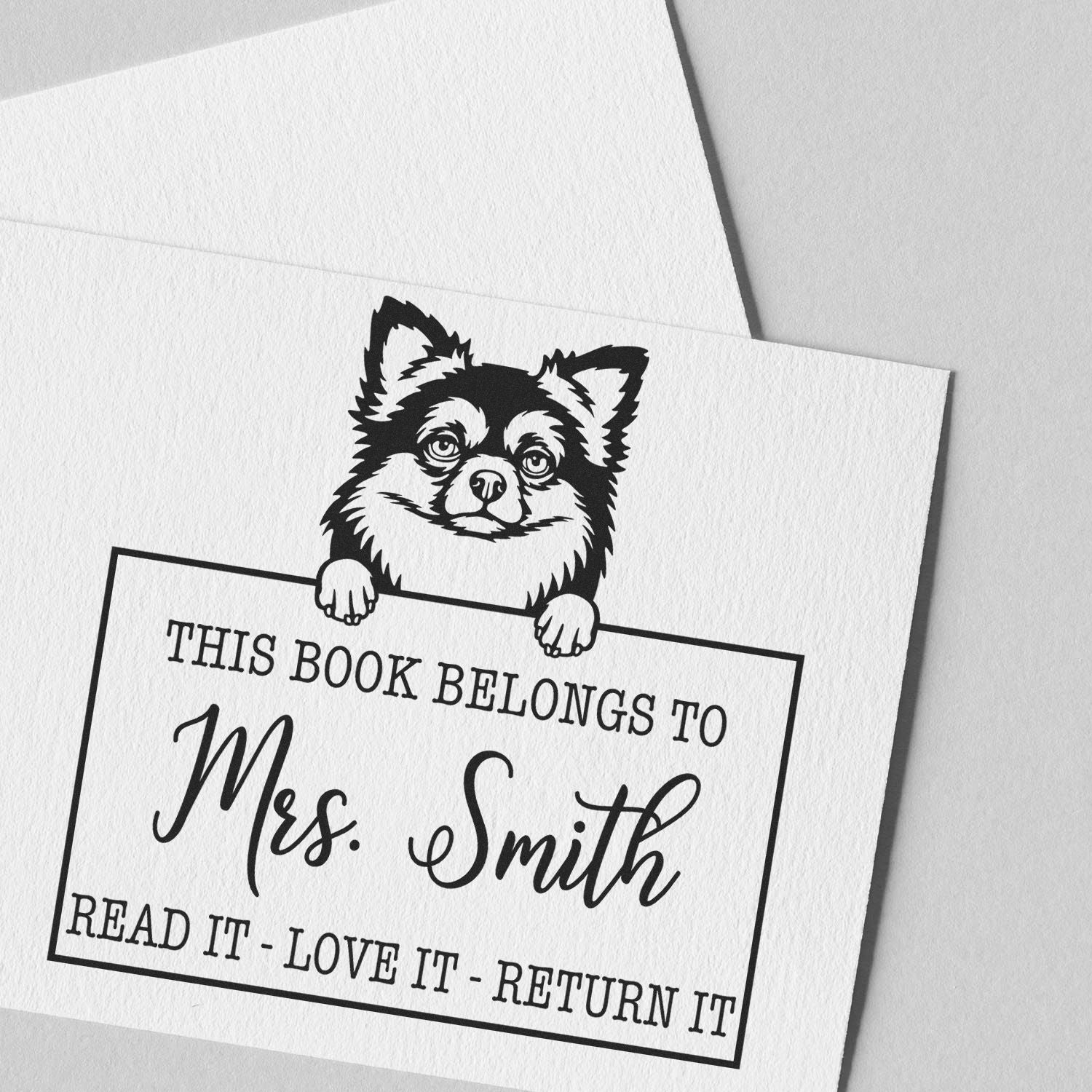 Personalized Name For Teacher Stamp with Long Haired Chihuahua - Engineer Seal Stamps