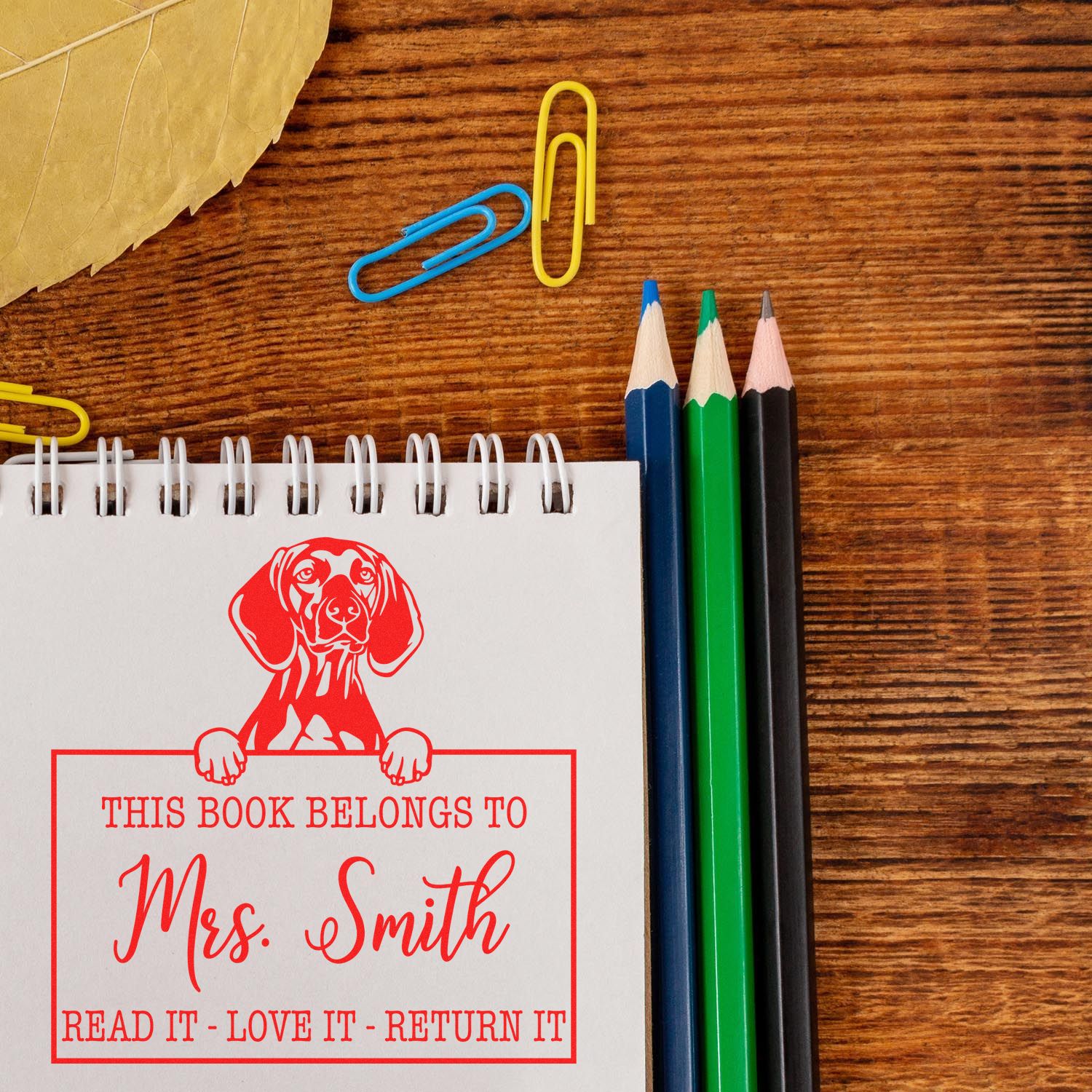 Vizslas Personalized Stamp - Engineer Seal Stamps