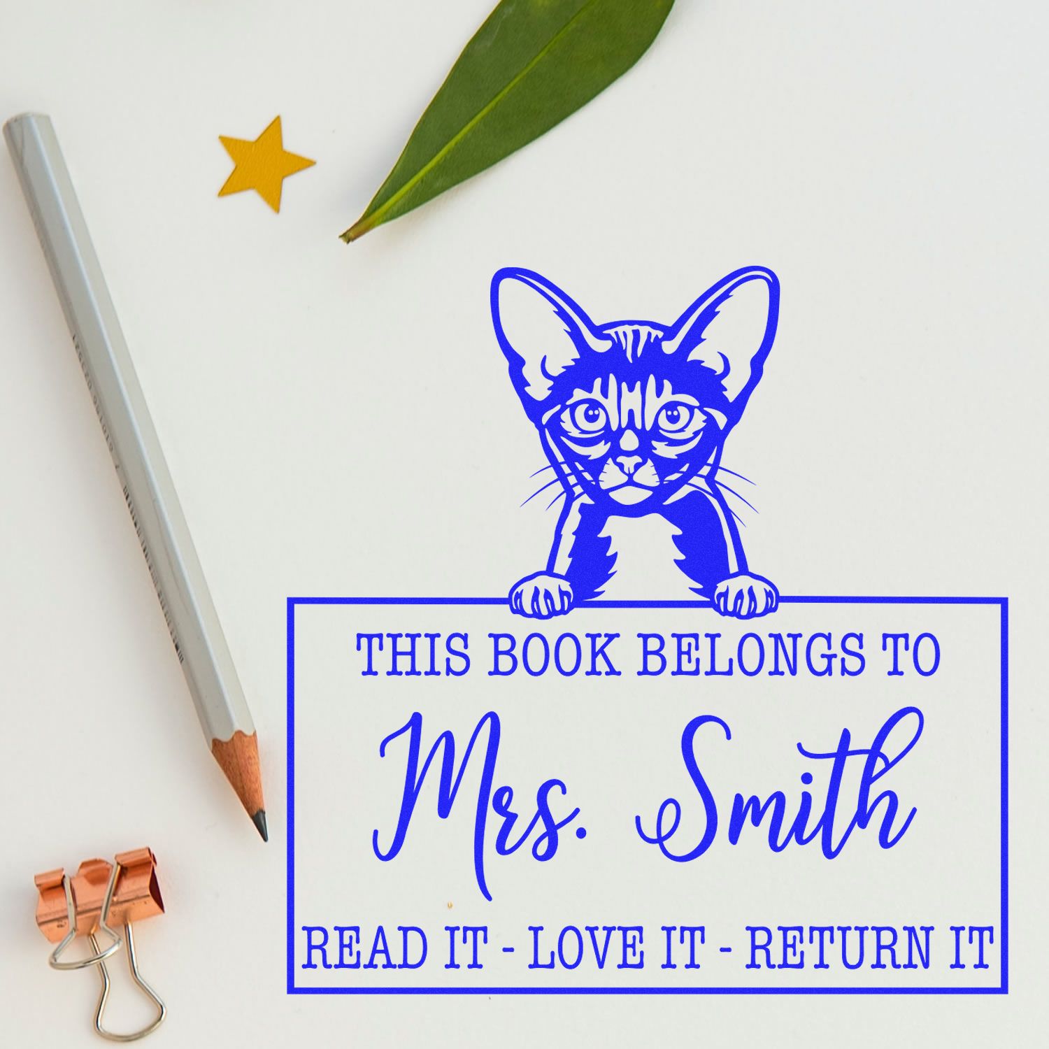 Abyssinian Personalized Cat Book Stamp - Engineer Seal Stamps