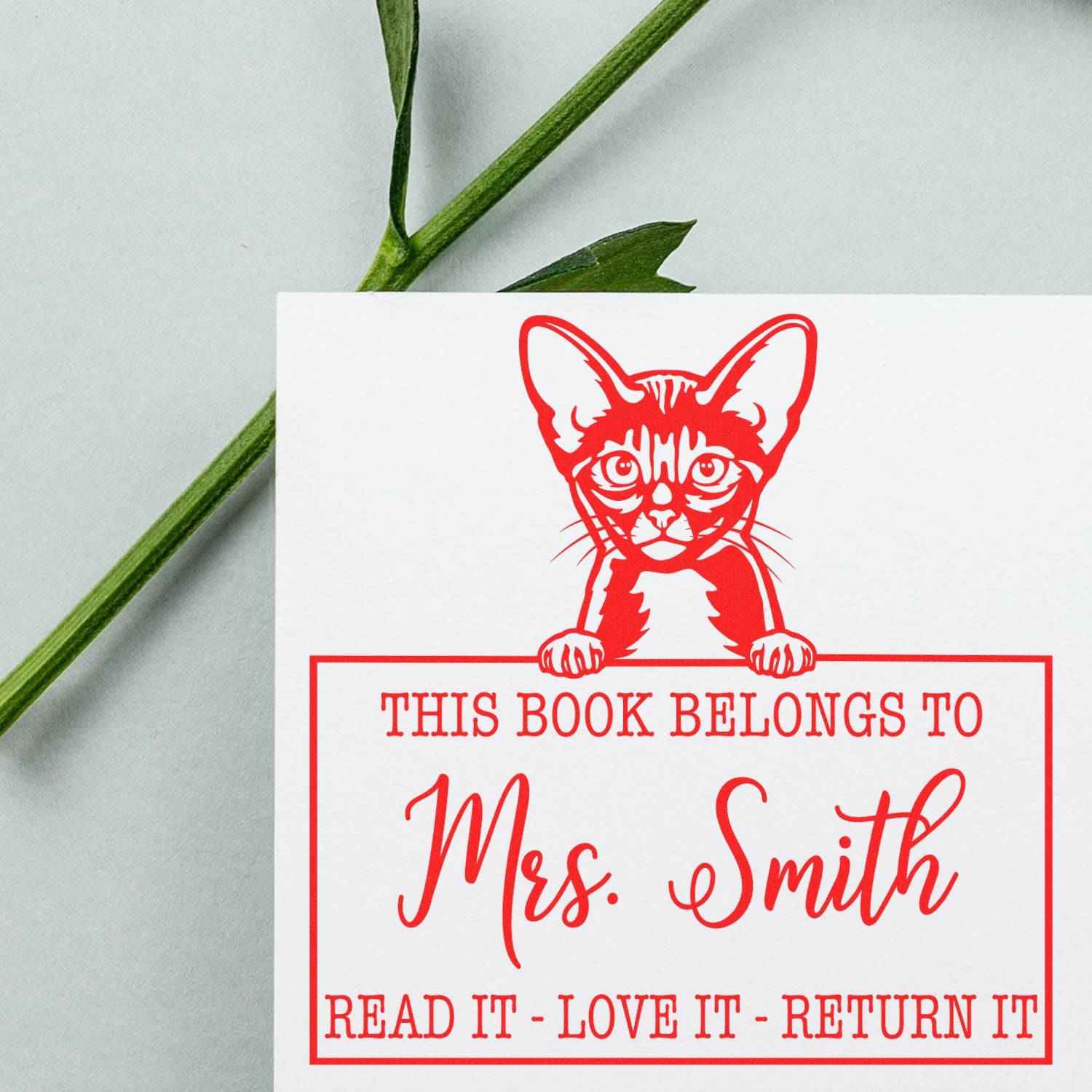 Abyssinian Customized Cat Book Stamp - Engineer Seal Stamps