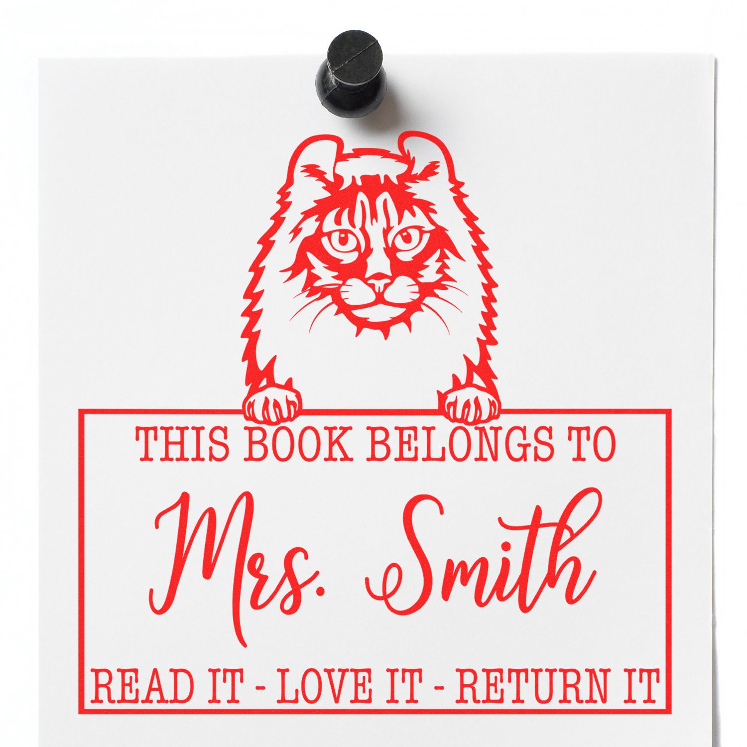 Custom Name For Library Books Stamp with American Curl Cat - Engineer Seal Stamps