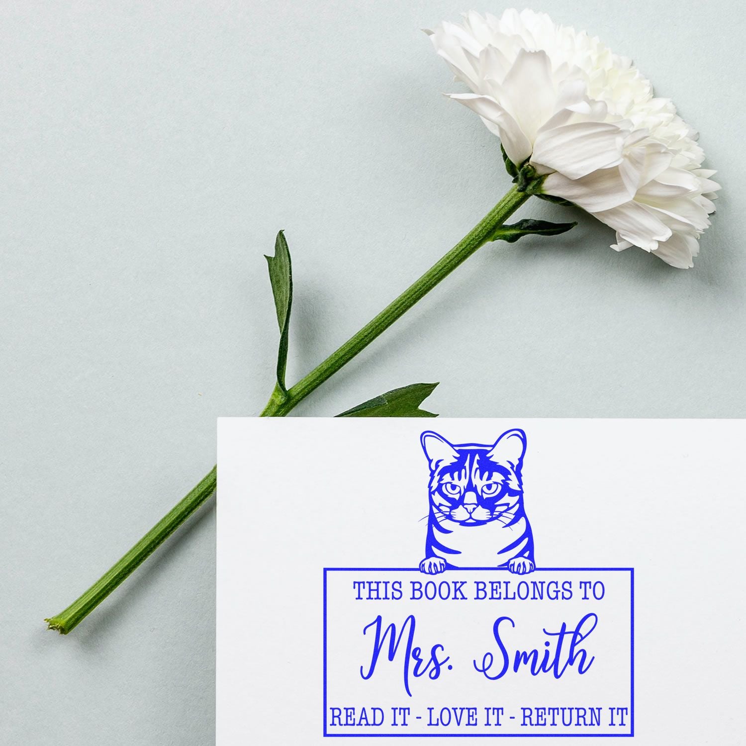 Custom Library Ownership Stamp with Australian Mist Cat - Engineer Seal Stamps