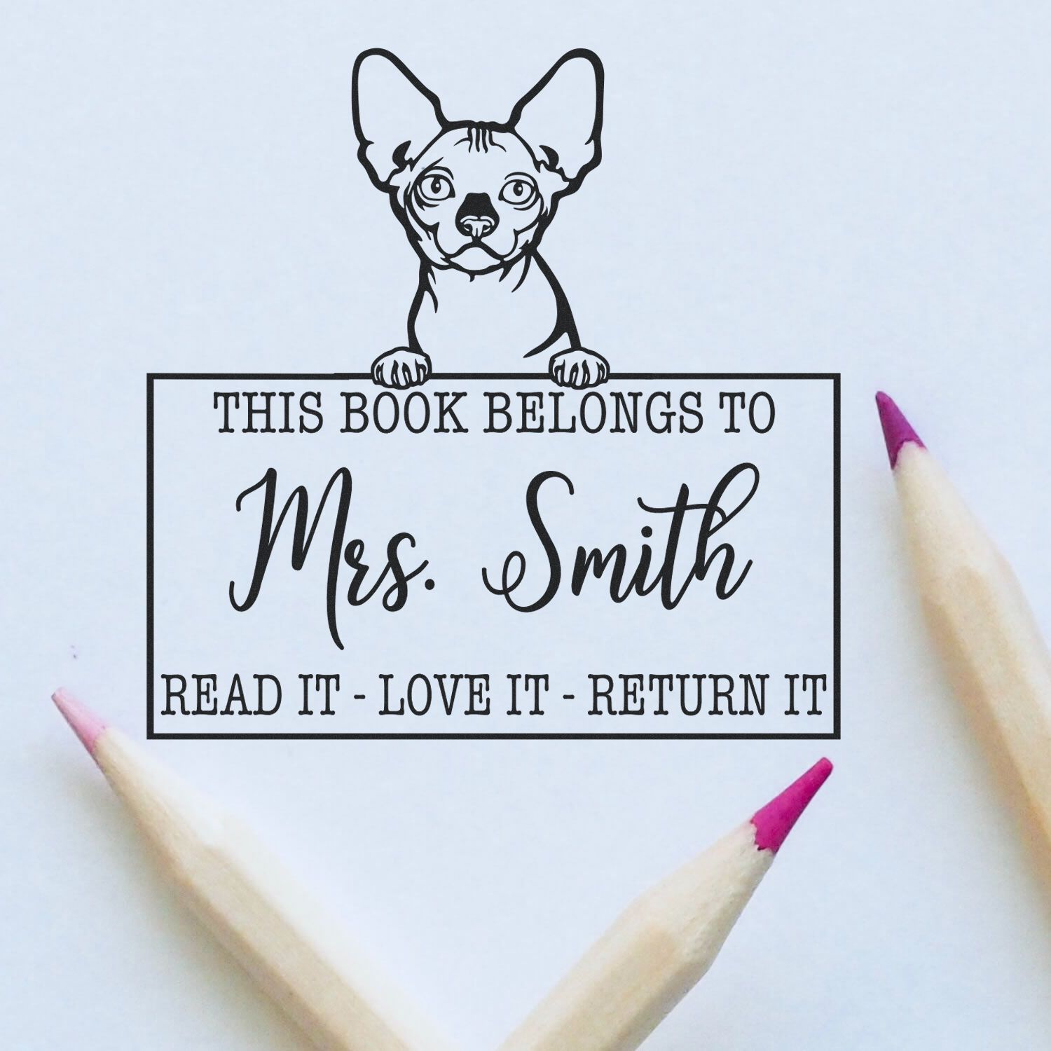 Bambino Personalized Cat-Themed Book Stamp - Engineer Seal Stamps