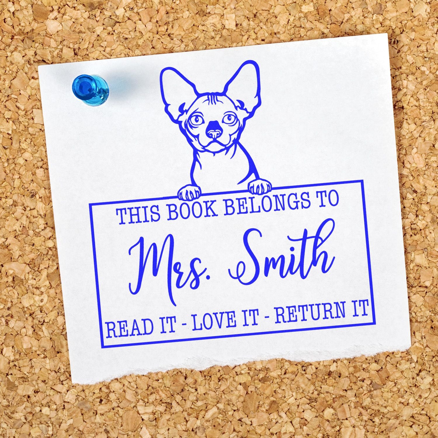 Custom Borrowed Library Book Stamp with Bambino Cat - Engineer Seal Stamps