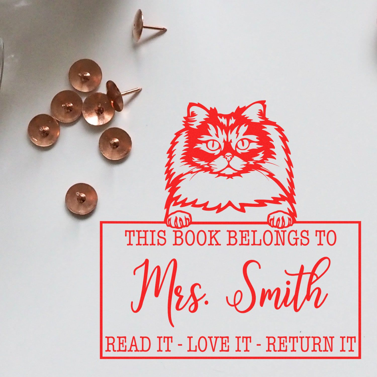 Custom Book Borrower Stamp with British Longhair Cat - Engineer Seal Stamps