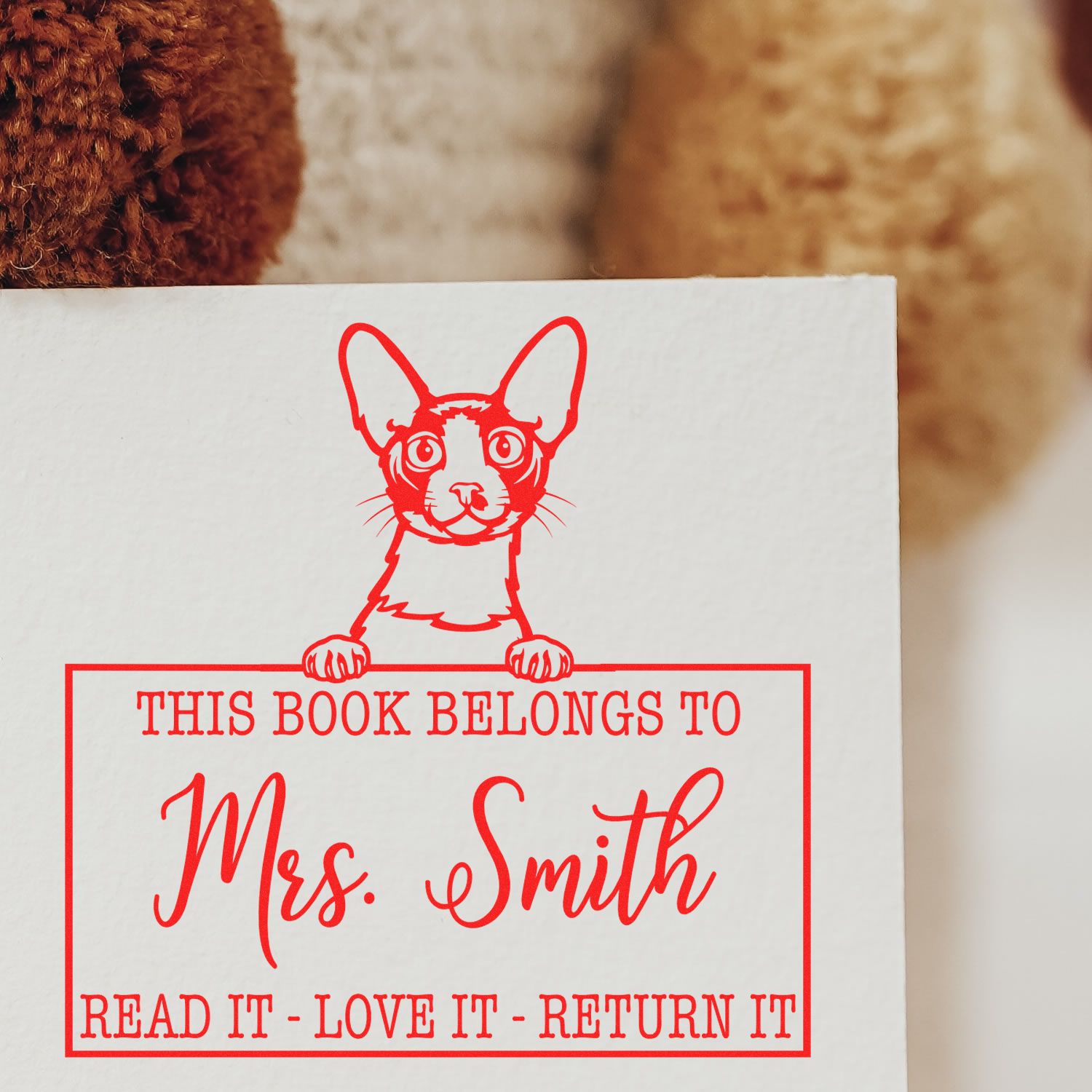 Custom Library Mark Stamp with Cornish Rex Cat - Engineer Seal Stamps