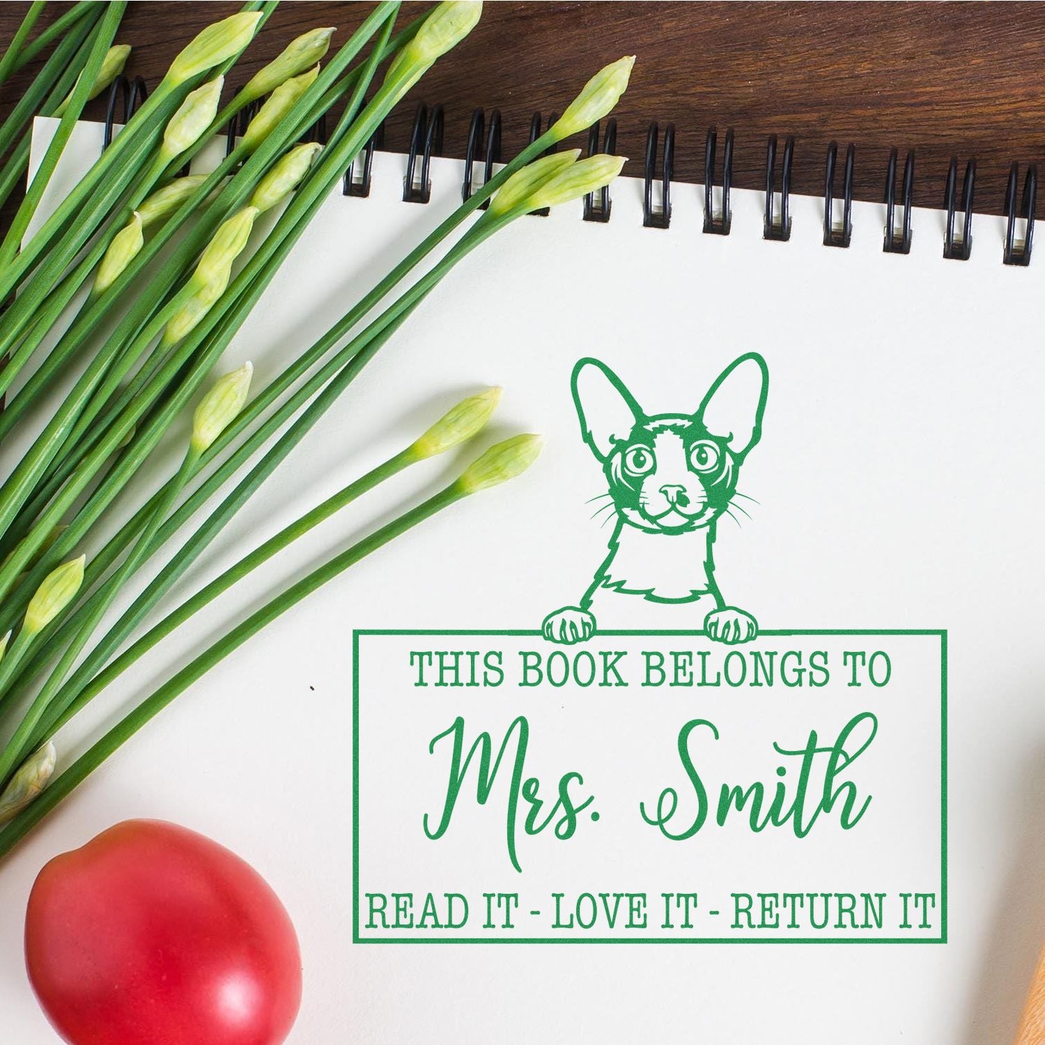 Custom Library Mark Stamp with Cornish Rex Cat - Engineer Seal Stamps