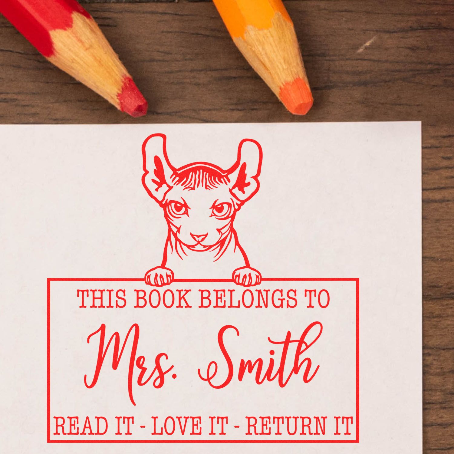 Custom Classroom Book Return Reminder Stamp with Dwelf Cat - Engineer Seal Stamps