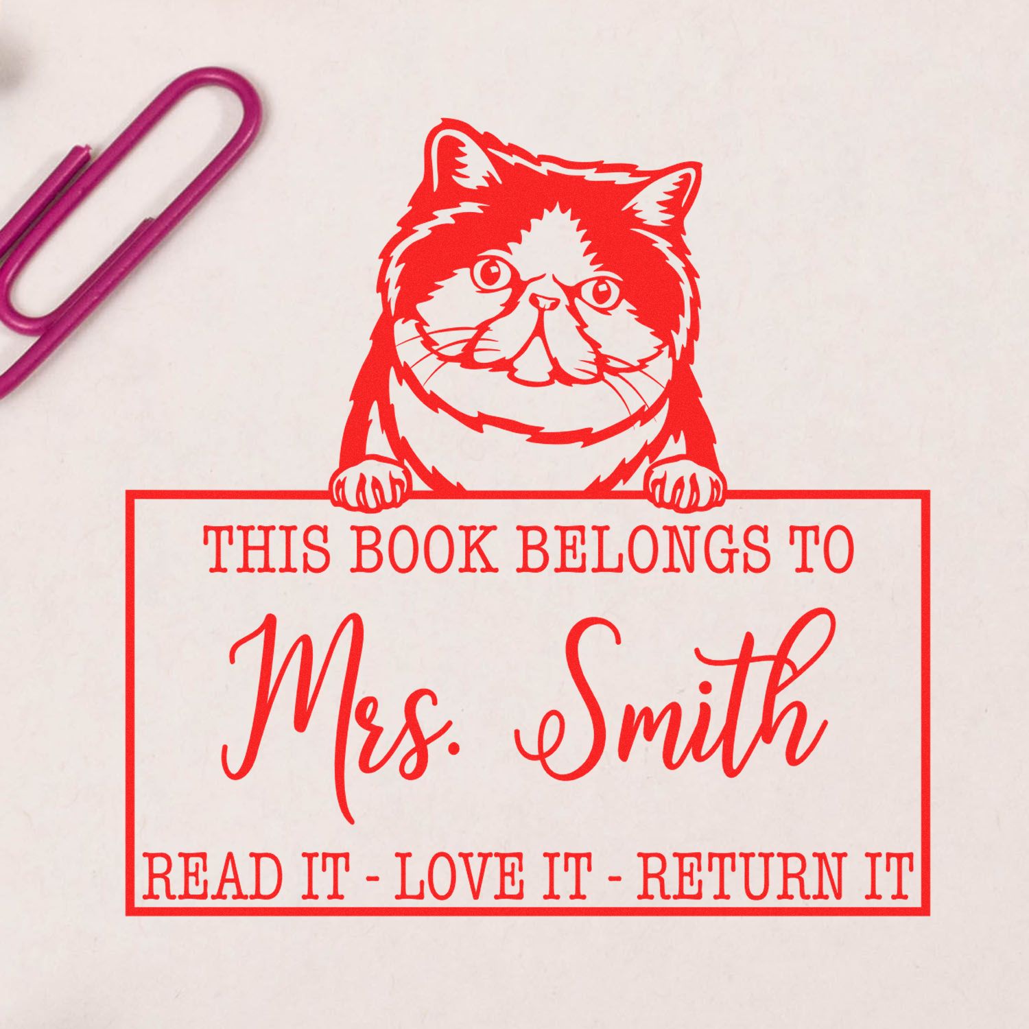 Custom Teacher's Book Reminder Stamp with Exotic Shorthair Cat - Engineer Seal Stamps