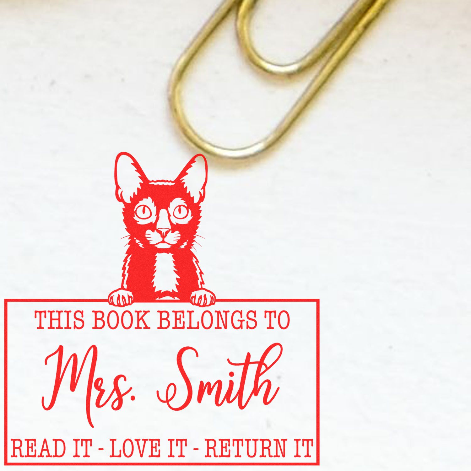 Custom Library Organization Stamp with Lykoi Cat - Engineer Seal Stamps