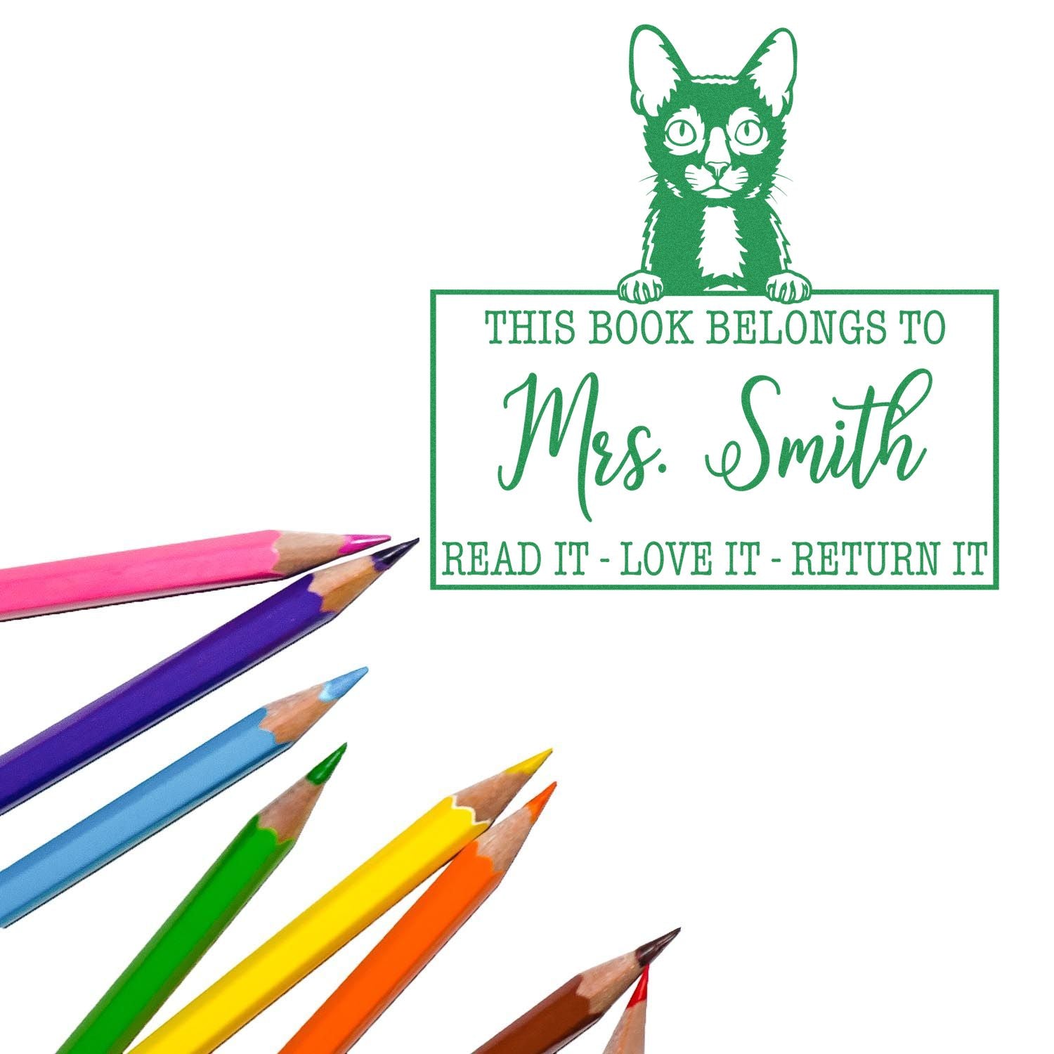 Lykoi Cat Custom Teacher Identity Stamp - Engineer Seal Stamps