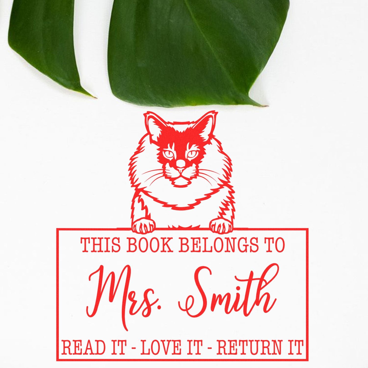 Maine Coon Customizable Cat-Themed Book Belongs Stamp - Engineer Seal Stamps