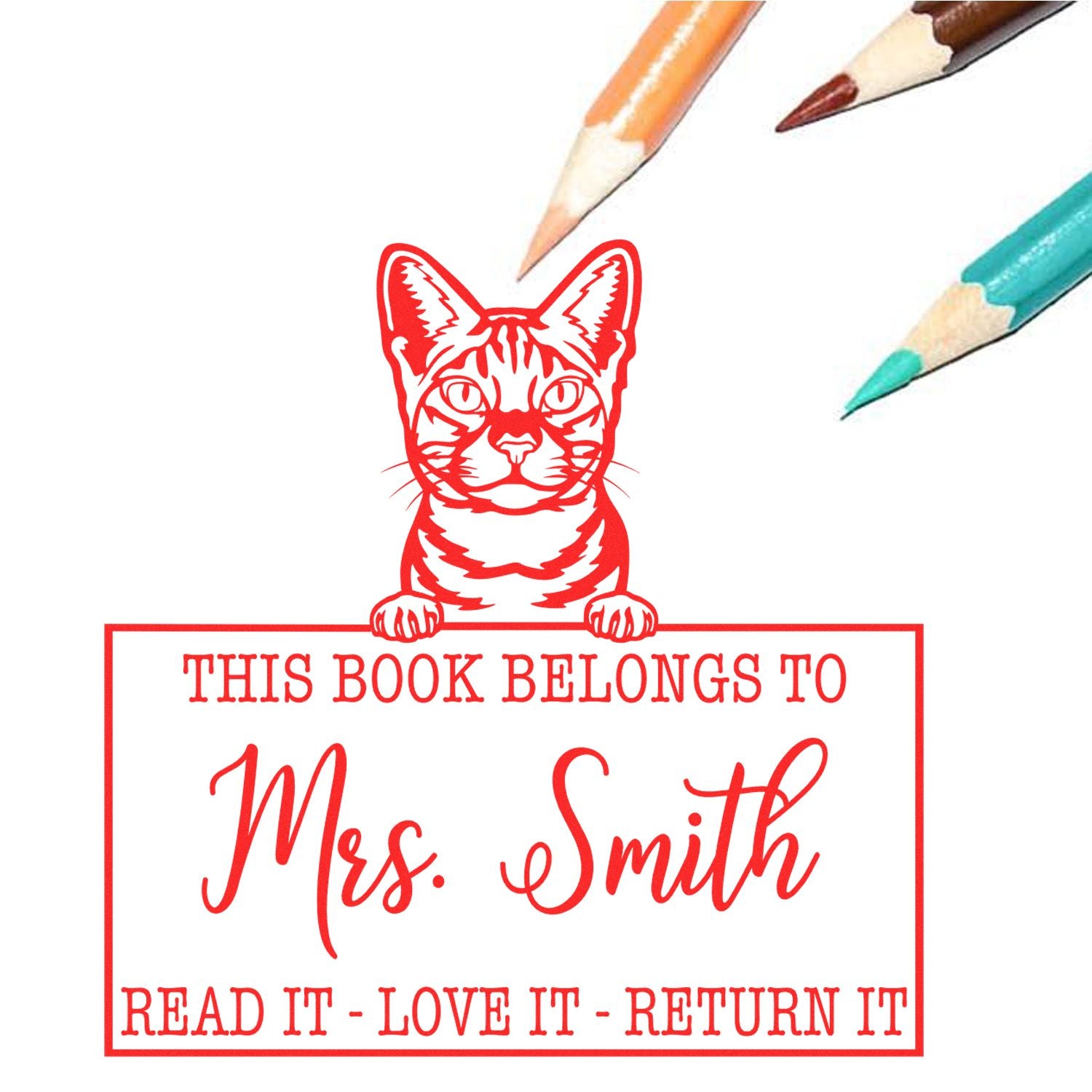 Ocicat Cat Custom With Teacher Name Stamp - Engineer Seal Stamps