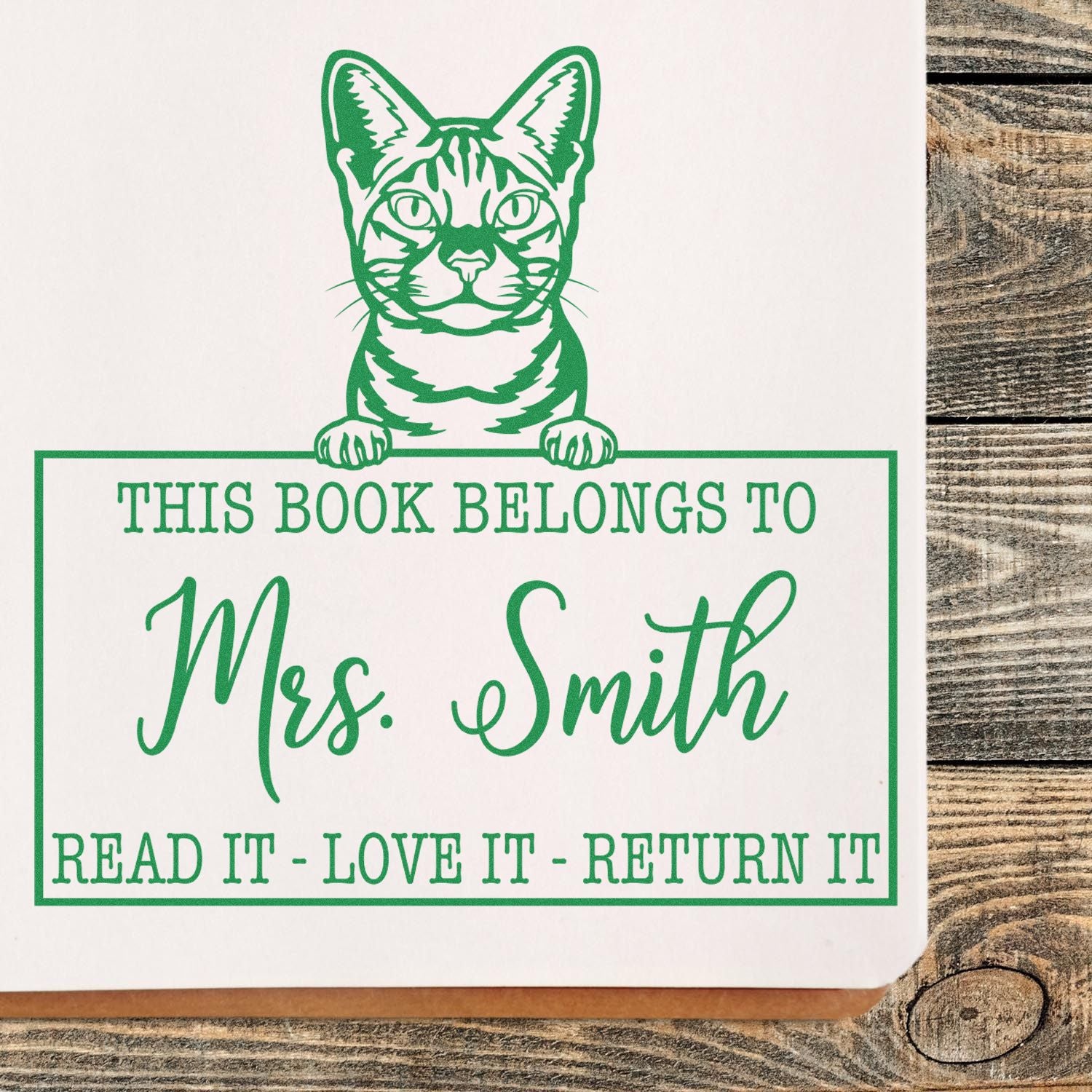 Ocicat Cat Custom With Teacher Name Stamp - Engineer Seal Stamps