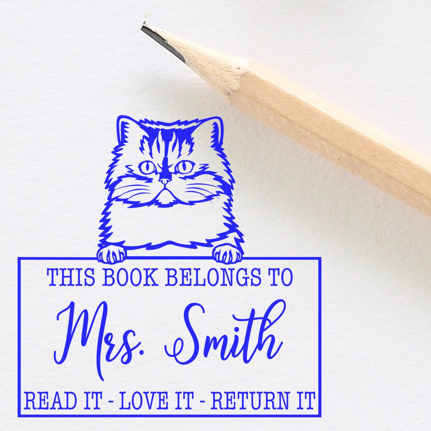 Custom Borrowed Classroom Library Stamp with Persian Cat - Engineer Seal Stamps