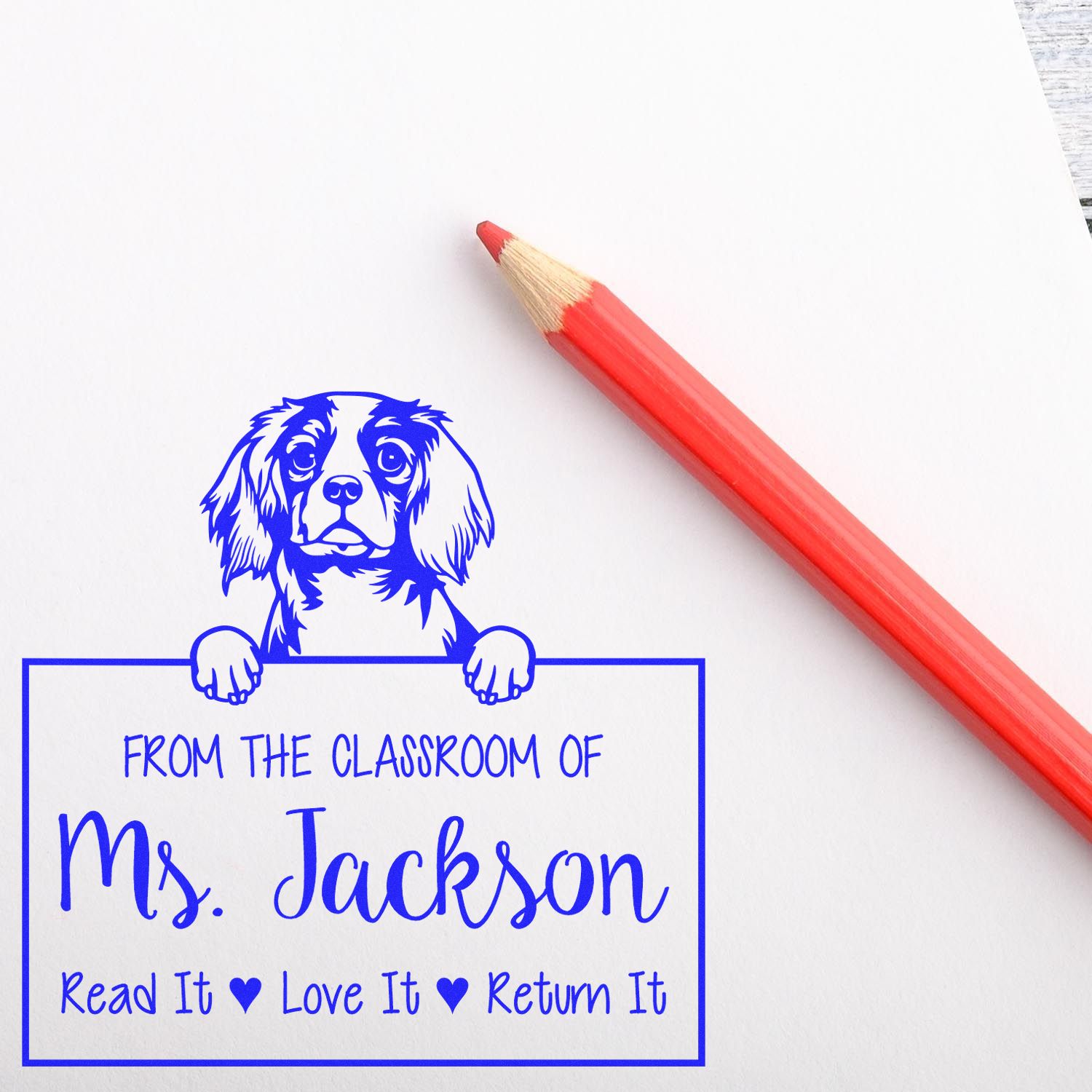 Cavalier King Charles Spaniel Custom Librarian Stamp - Engineer Seal Stamps