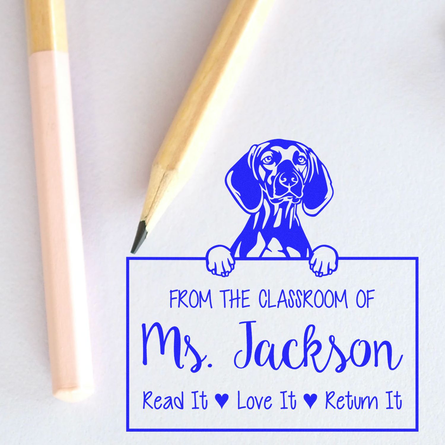 Customizable From The Classroom Of Stamp with Vizslas Dog - Engineer Seal Stamps