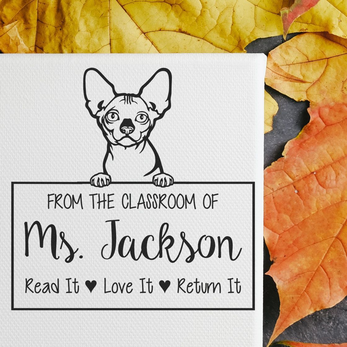 Custom Library Book Check-Out Stamp with Bambino Cat - Engineer Seal Stamps