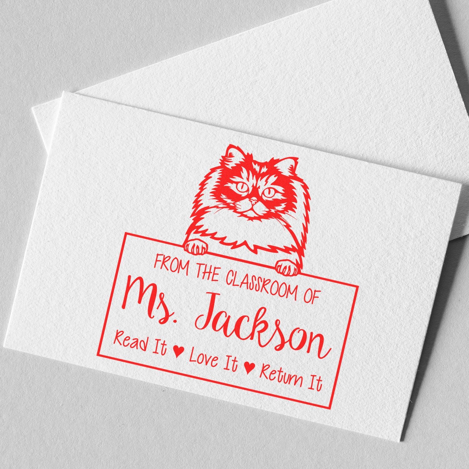 Cute British Longhair Cat-Themed Teacher Book Stamper