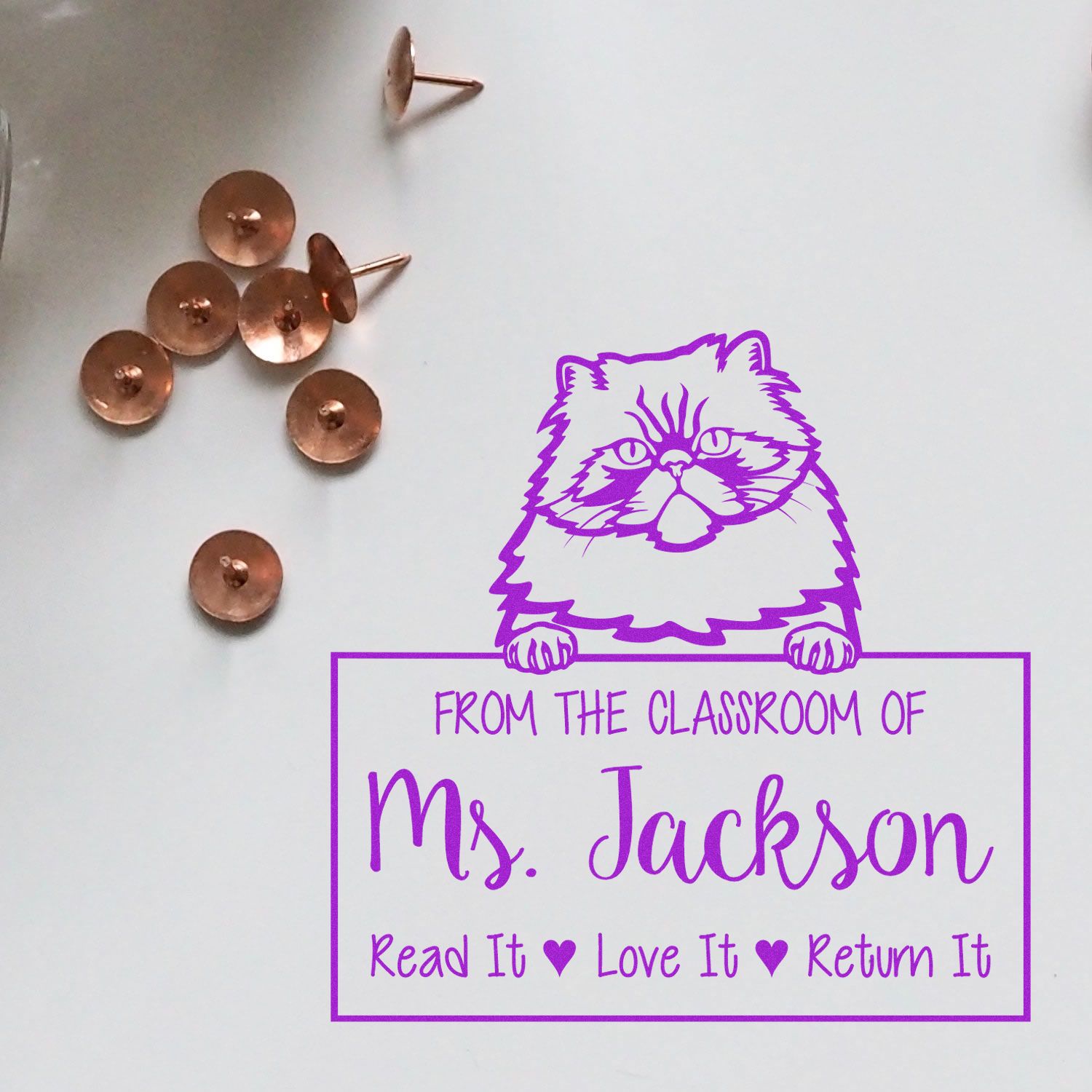 Customized Teacher Stamp with Colorpoint Persian Cat - Engineer Seal Stamps