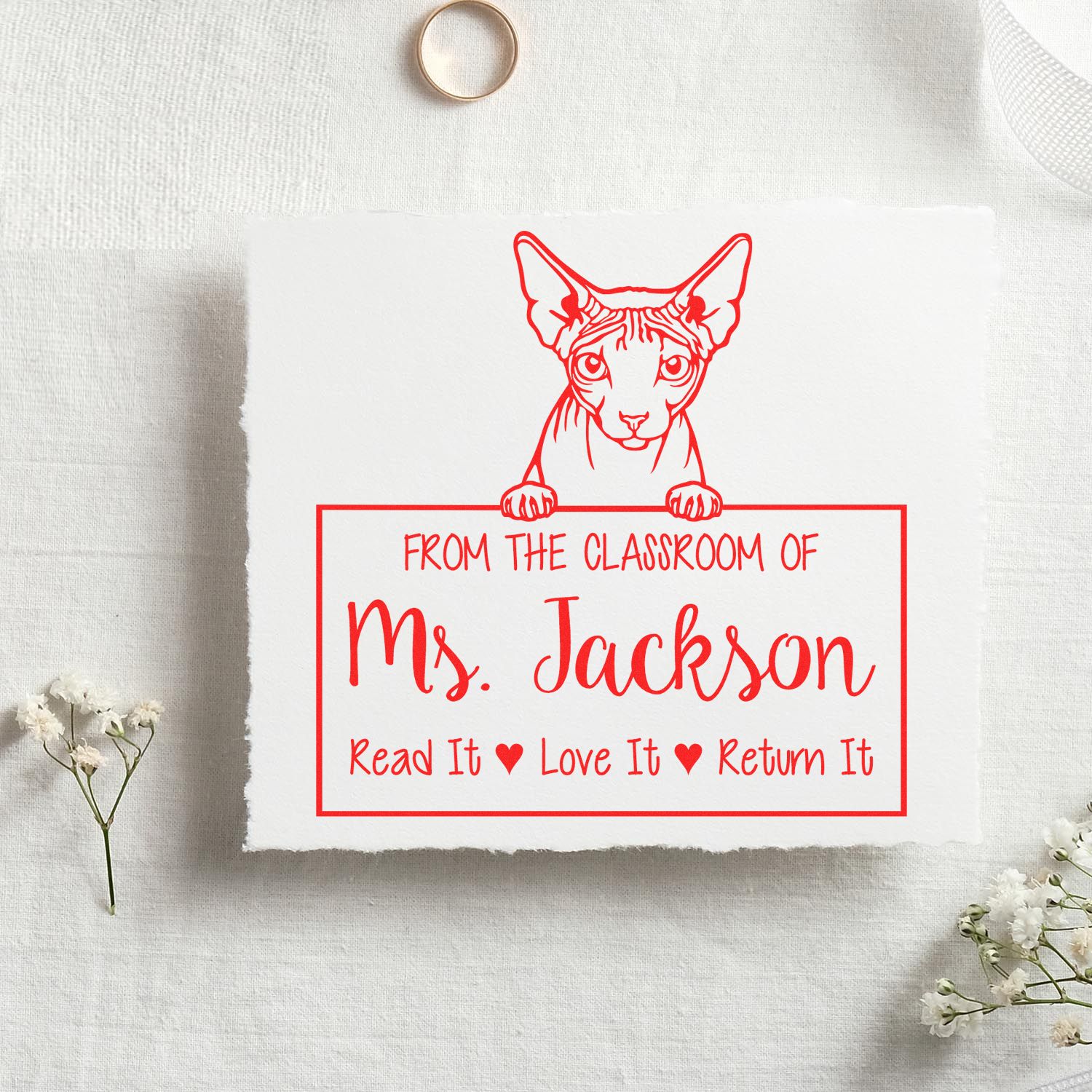 Don Sphynx Cat Customized Return My Book Stamp - Engineer Seal Stamps